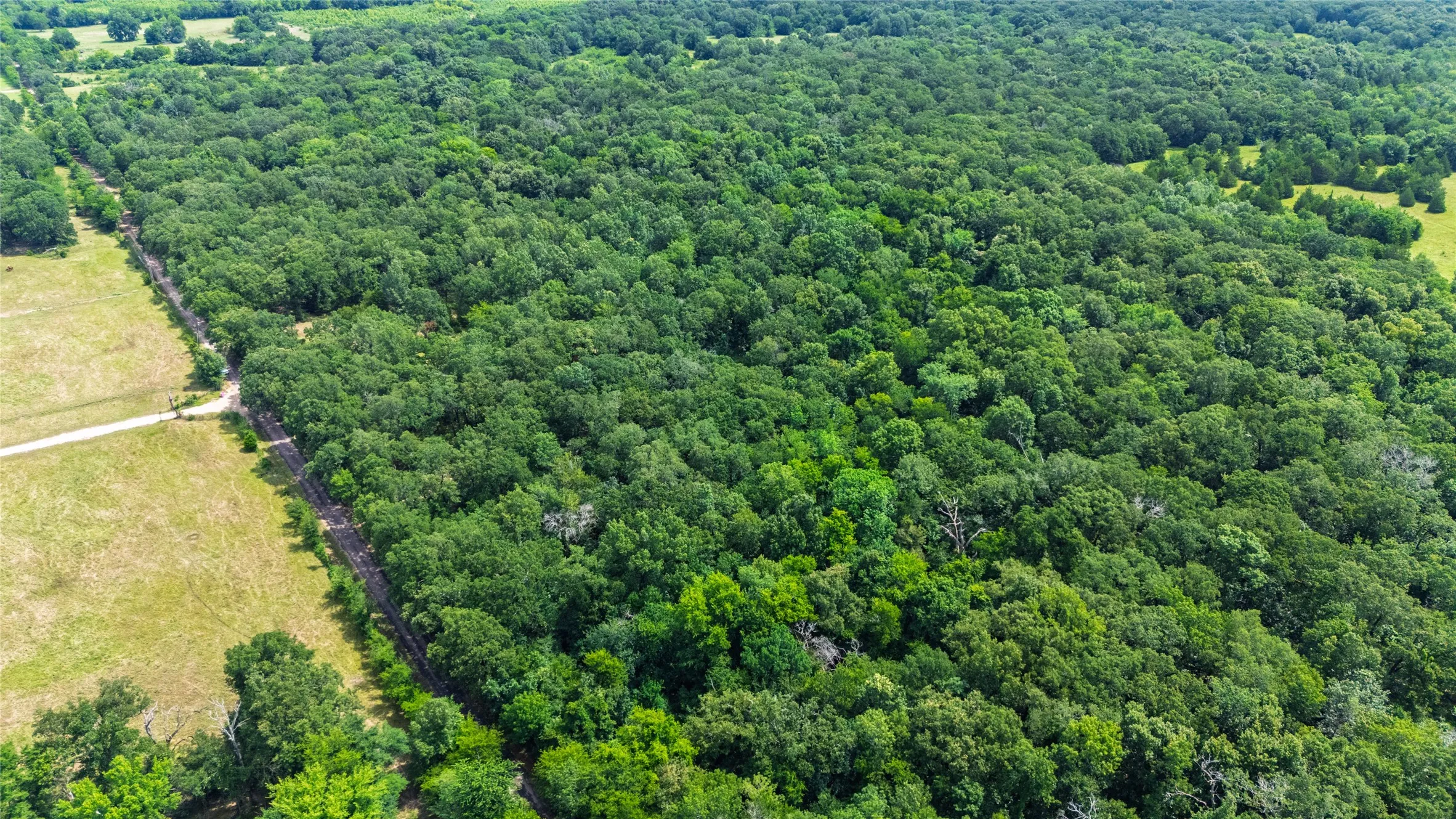 Unimproved Land For Sale in Hopkins County , 604 County Road 3561, Dike, Texas 75437, 0, 0, Garage spaces, 0 Sqft, built in 0, Price $95,000, mls#21313211, Real Estate Agent in Dike, Homes For Sale in Hopkins county, Homes For Sale in Dike, Realtor in Dike Texas, Real Estate Brokerage Independent Realty Texas, Luminita Cordes Realtor