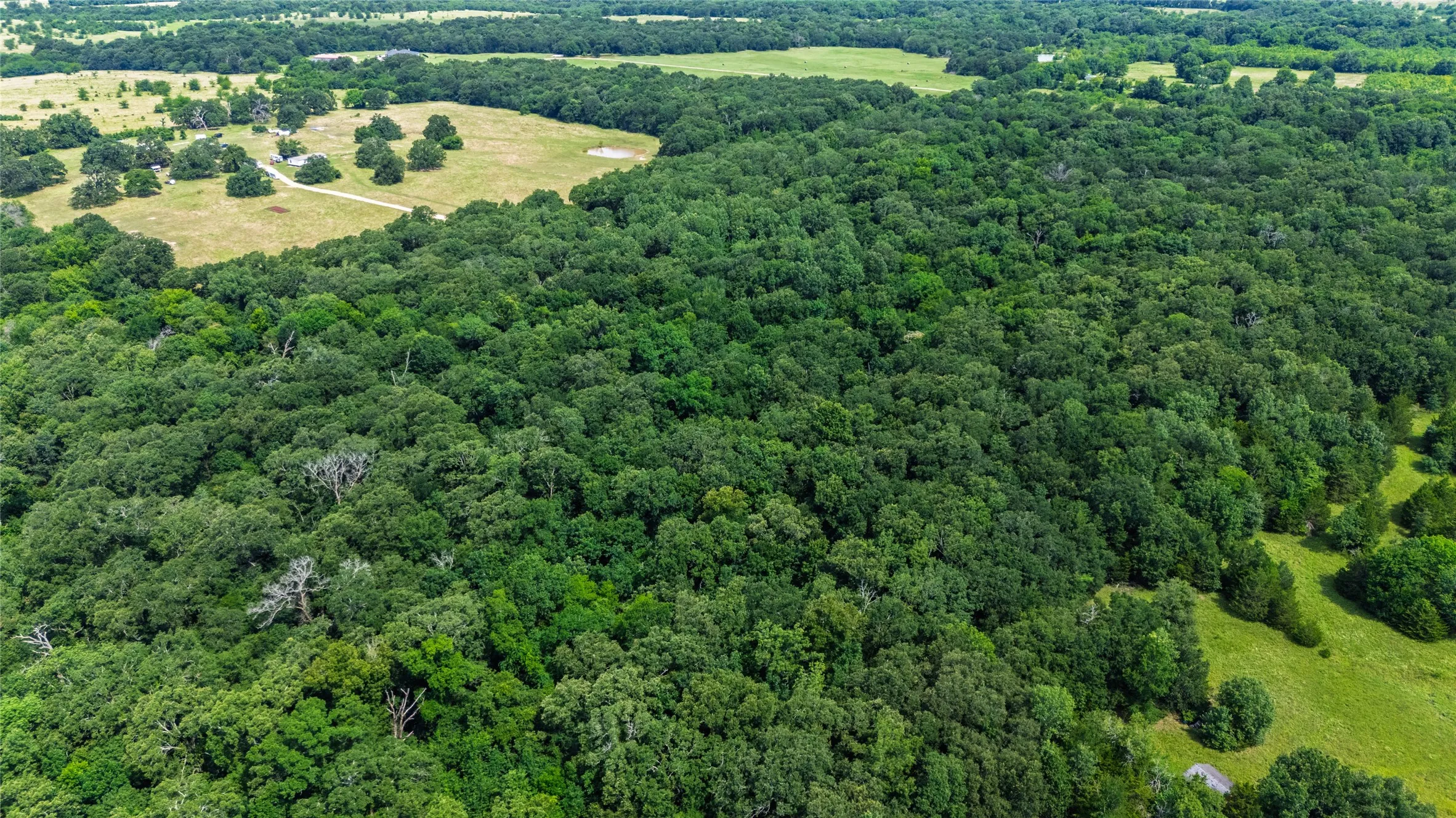 Unimproved Land For Sale in Hopkins County , 604 County Road 3561, Dike, Texas 75437, 0, 0, Garage spaces, 0 Sqft, built in 0, Price $95,000, mls#21313211, Real Estate Agent in Dike, Homes For Sale in Hopkins county, Homes For Sale in Dike, Realtor in Dike Texas, Real Estate Brokerage Independent Realty Texas, Luminita Cordes Realtor