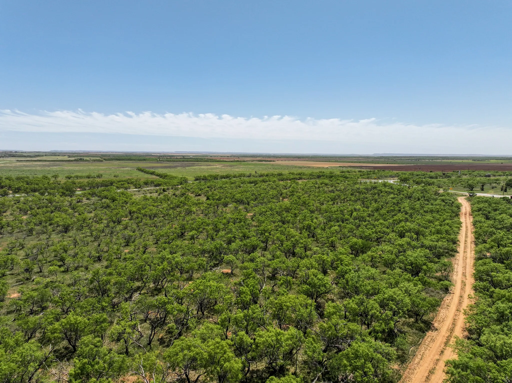 Unimproved Land For Sale in Jones County , TBD Tract 12 FM 1812, Hawley, Texas 79525, 0, 0, Garage spaces, 0 Sqft, built in 0, mls#21313231, Real Estate Agent in Hawley, Homes For Sale in Jones county, Homes For Sale in Hawley, Realtor in Hawley Texas, Real Estate Brokerage Independent Realty Texas, Luminita Cordes Realtor