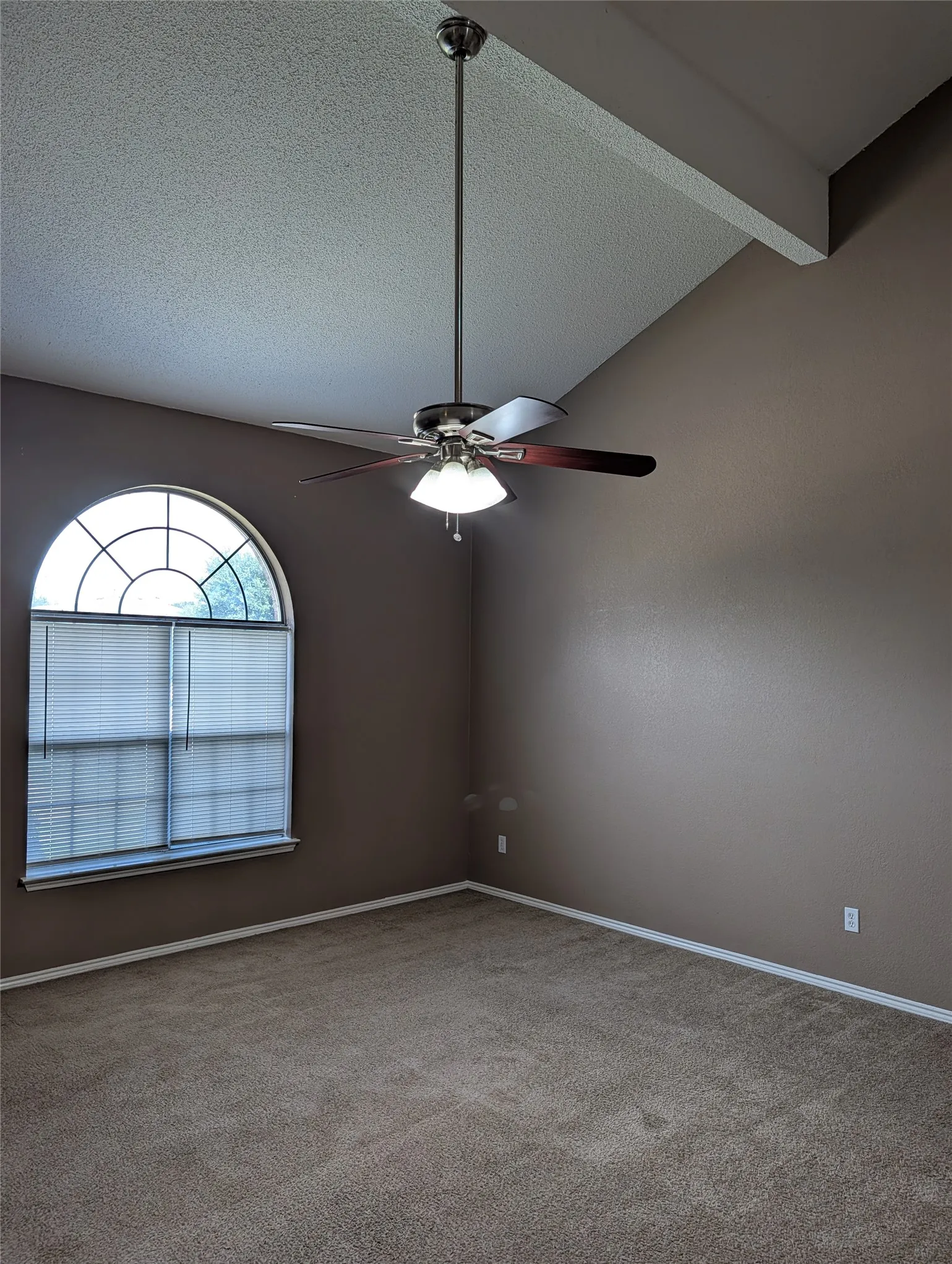 Single Family Residence For Rent in Tarrant County , 700 Flamingo Drive, Saginaw, Texas 76131, 5 Bedroom, 3 Bathroom, 2 Garage spaces, 2,272 Sqft, built in 2003, mls#21313270, Real Estate Agent in Saginaw, Homes For Rent in Tarrant county, Homes For Rent in Saginaw, Realtor in Saginaw Texas, Real Estate Brokerage Independent Realty Texas, Luminita Cordes Realtor