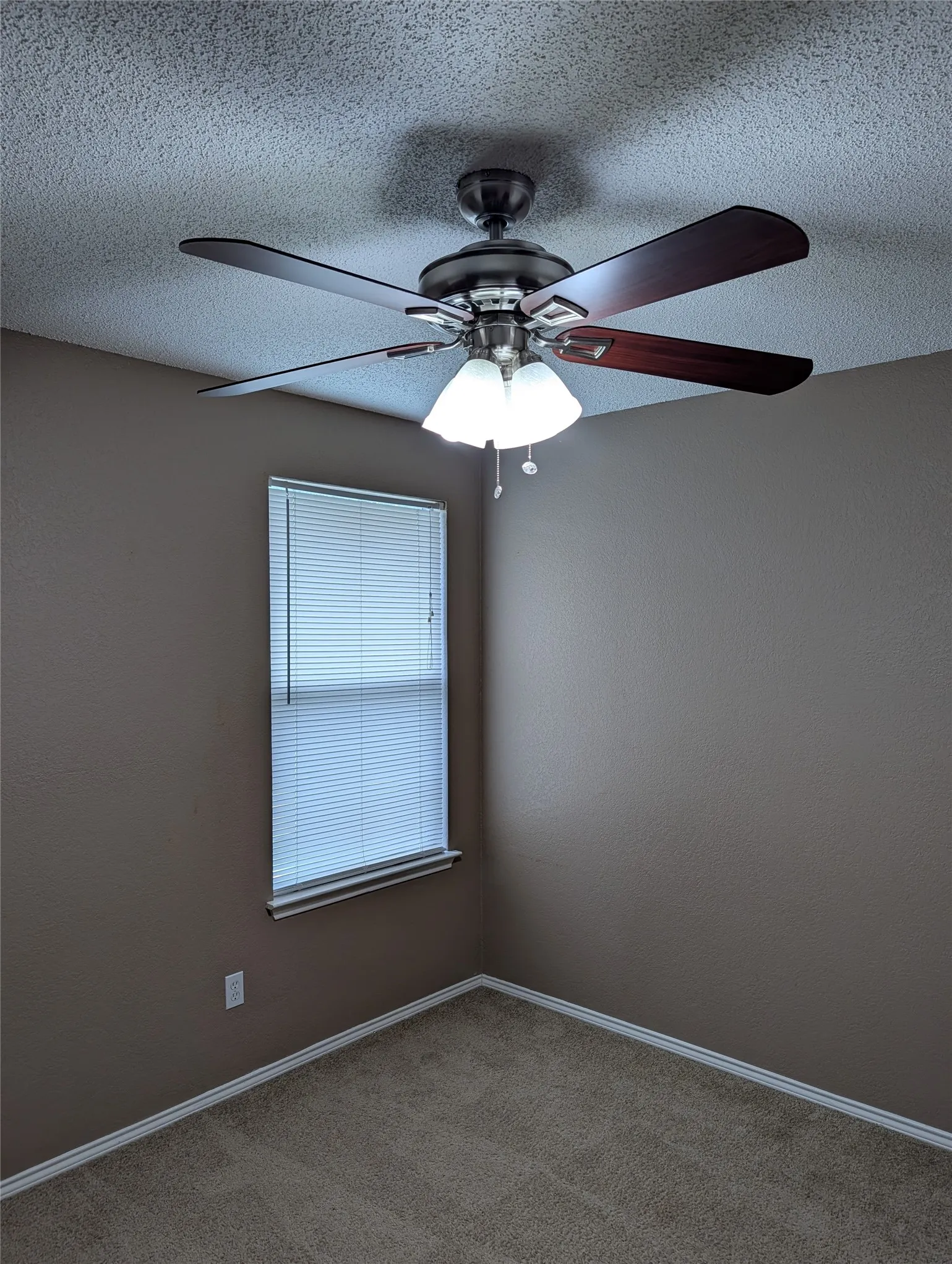 Single Family Residence For Rent in Tarrant County , 700 Flamingo Drive, Saginaw, Texas 76131, 5 Bedroom, 3 Bathroom, 2 Garage spaces, 2,272 Sqft, built in 2003, mls#21313270, Real Estate Agent in Saginaw, Homes For Rent in Tarrant county, Homes For Rent in Saginaw, Realtor in Saginaw Texas, Real Estate Brokerage Independent Realty Texas, Luminita Cordes Realtor