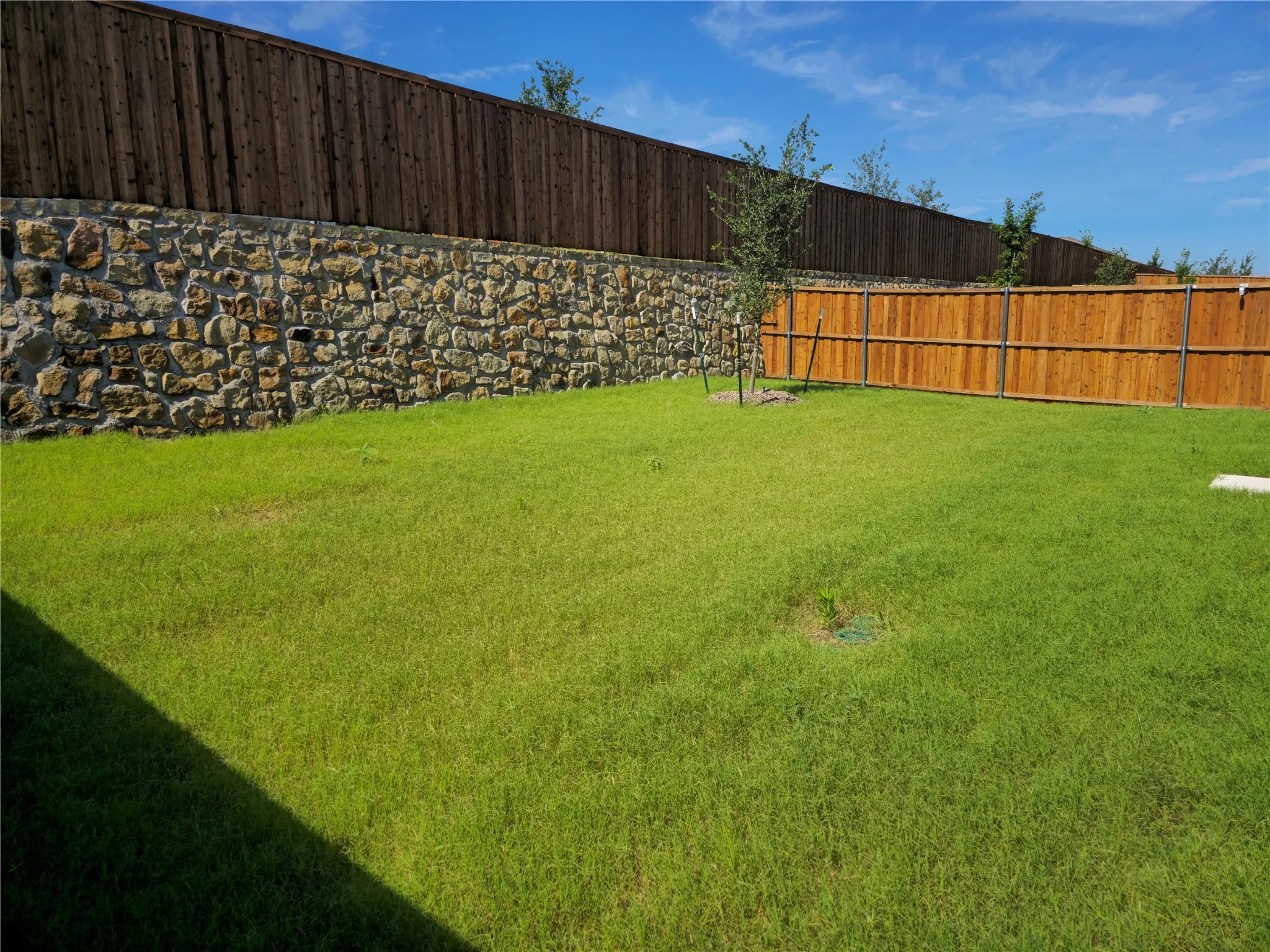 Privacy Fence
