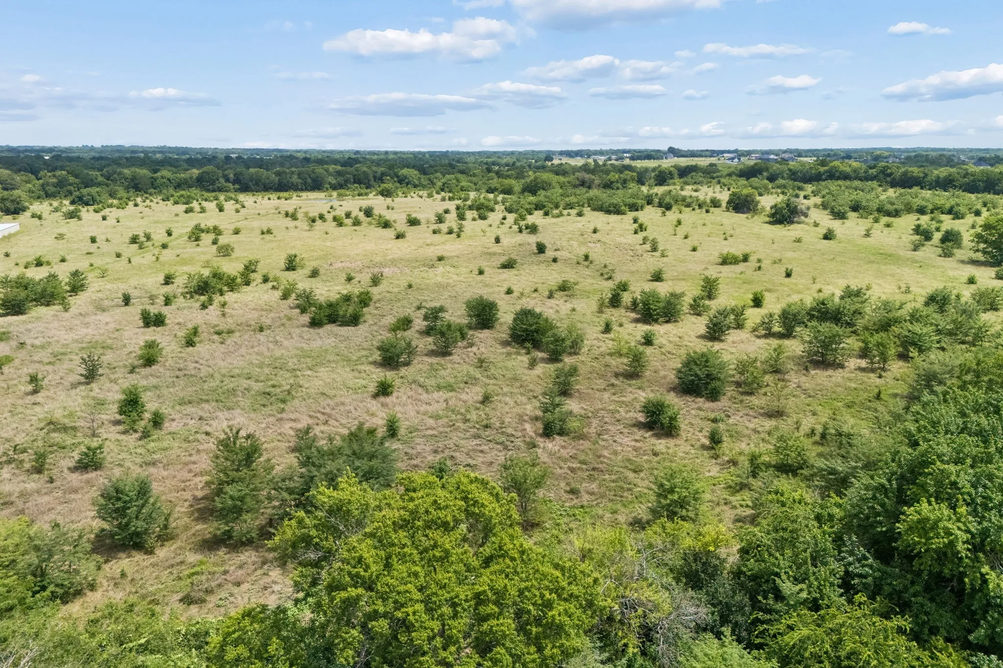 Unimproved Land For Sale in Hunt County , TBD Fm 499, Greenville, Texas 75401, 0, 0, Garage spaces, 0 Sqft, built in 0, mls#21305451, Real Estate Agent in Greenville, Homes For Sale in Hunt county, Homes For Sale in Greenville, Realtor in Greenville Texas, Real Estate Brokerage Independent Realty Texas, Luminita Cordes Realtor