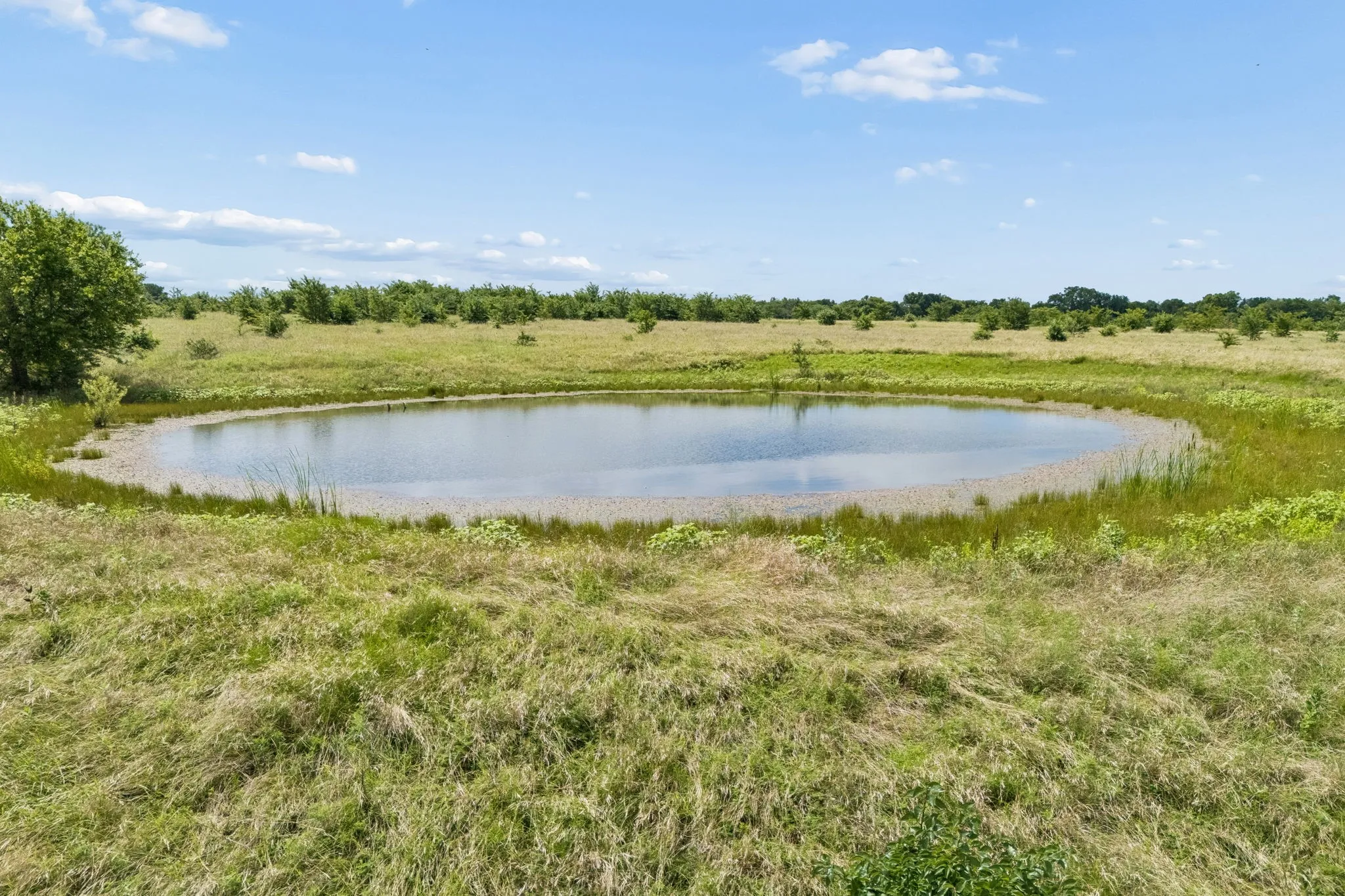 Stock pond