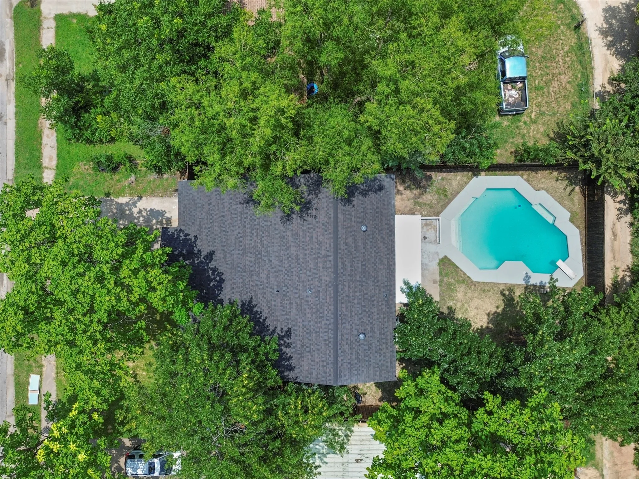Property featuring a dark shingle roof, a geometric swimming pool with light-colored coping, and mature perimeter trees