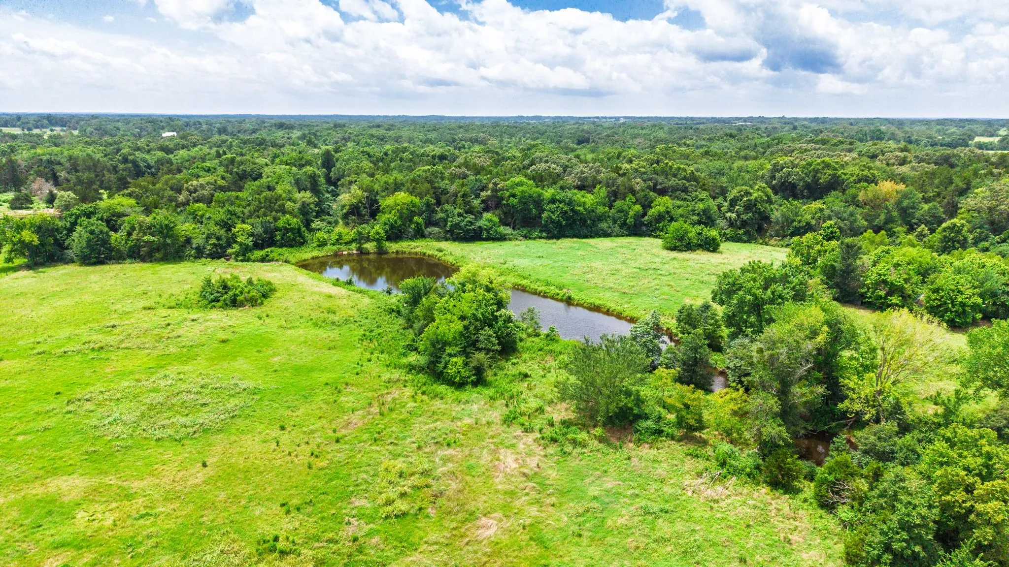 Unimproved Land For Sale in Hopkins County , 0 E Farm Road 1567, Sulphur Springs, Texas 75482, 0, 0, Garage spaces, 0 Sqft, built in 0, mls#21313313, Real Estate Agent in Sulphur Springs, Homes For Sale in Hopkins county, Homes For Sale in Sulphur Springs, Realtor in Sulphur Springs Texas, Real Estate Brokerage Independent Realty Texas, Luminita Cordes Realtor