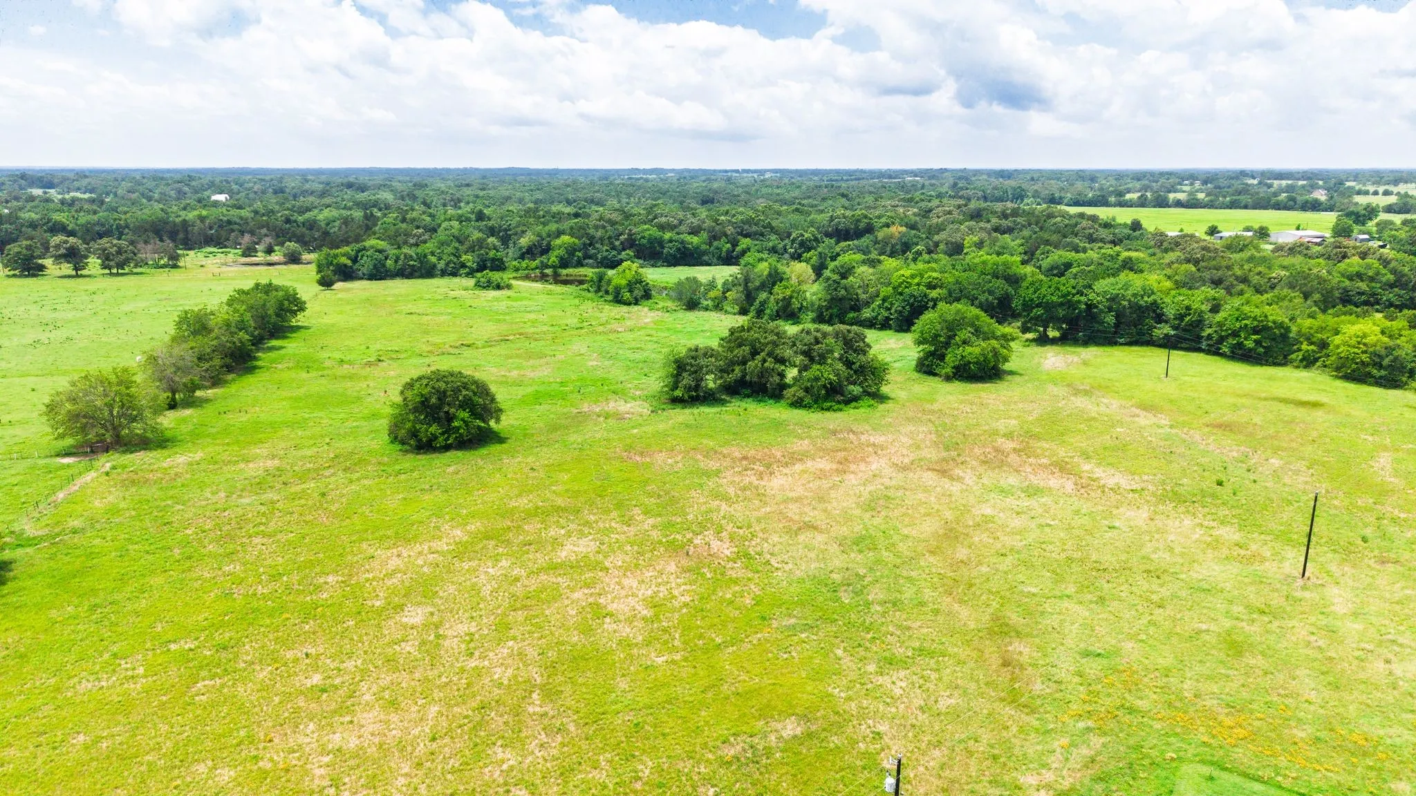 Unimproved Land For Sale in Hopkins County , 0 E Farm Road 1567, Sulphur Springs, Texas 75482, 0, 0, Garage spaces, 0 Sqft, built in 0, mls#21313313, Real Estate Agent in Sulphur Springs, Homes For Sale in Hopkins county, Homes For Sale in Sulphur Springs, Realtor in Sulphur Springs Texas, Real Estate Brokerage Independent Realty Texas, Luminita Cordes Realtor