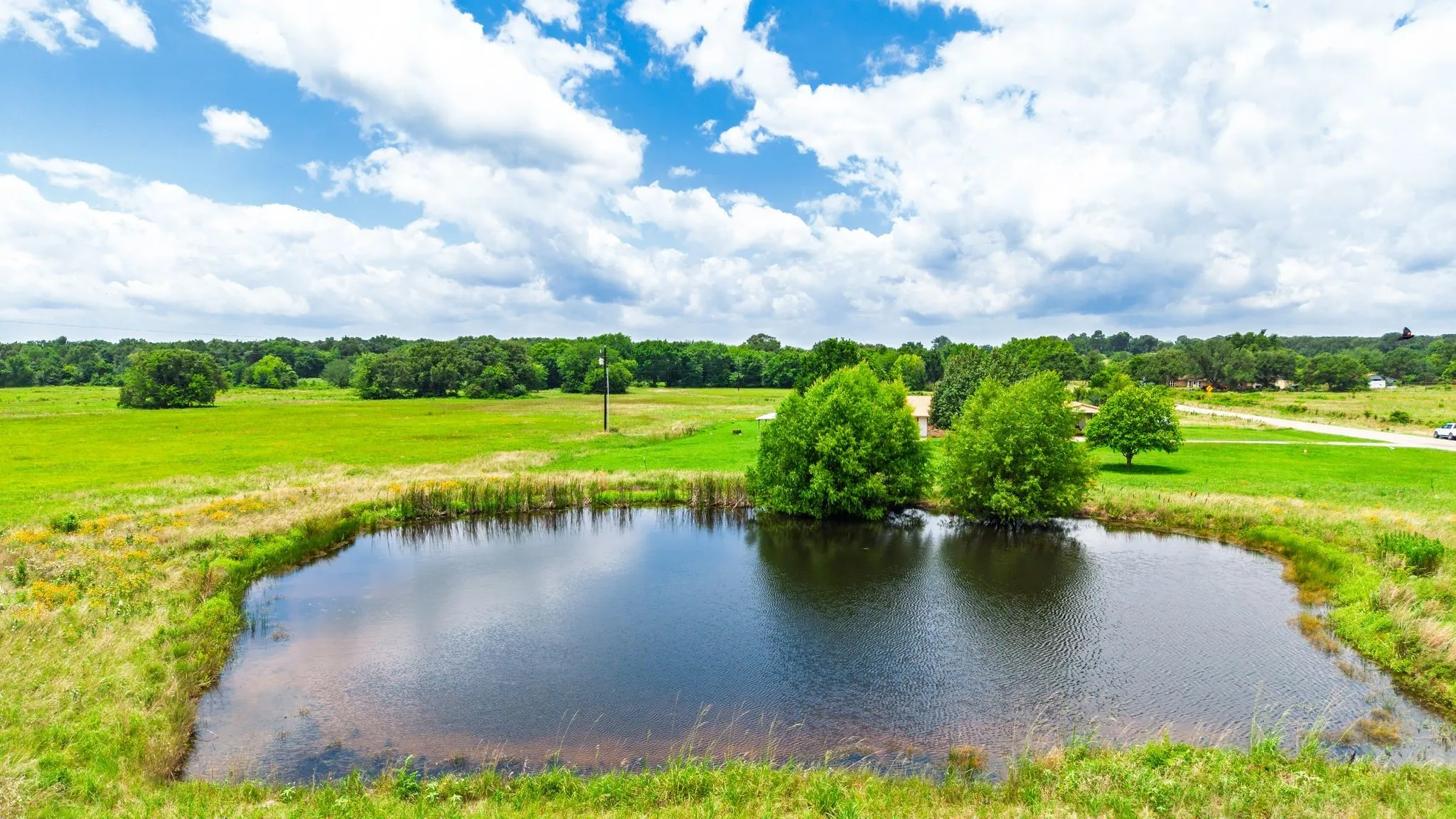 Unimproved Land For Sale in Hopkins County , 0 E Farm Road 1567, Sulphur Springs, Texas 75482, 0, 0, Garage spaces, 0 Sqft, built in 0, mls#21313313, Real Estate Agent in Sulphur Springs, Homes For Sale in Hopkins county, Homes For Sale in Sulphur Springs, Realtor in Sulphur Springs Texas, Real Estate Brokerage Independent Realty Texas, Luminita Cordes Realtor