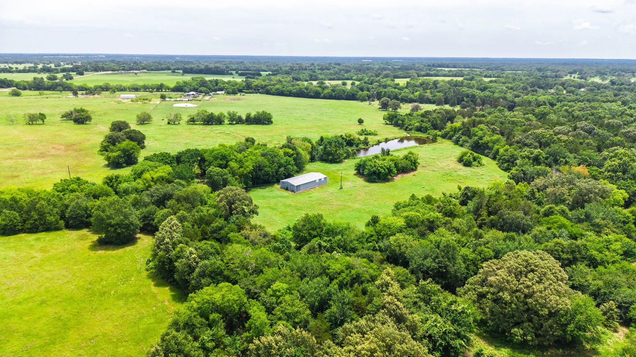 Unimproved Land For Sale in Hopkins County , 0 E Farm Road 1567, Sulphur Springs, Texas 75482, 0, 0, Garage spaces, 0 Sqft, built in 0, mls#21313313, Real Estate Agent in Sulphur Springs, Homes For Sale in Hopkins county, Homes For Sale in Sulphur Springs, Realtor in Sulphur Springs Texas, Real Estate Brokerage Independent Realty Texas, Luminita Cordes Realtor