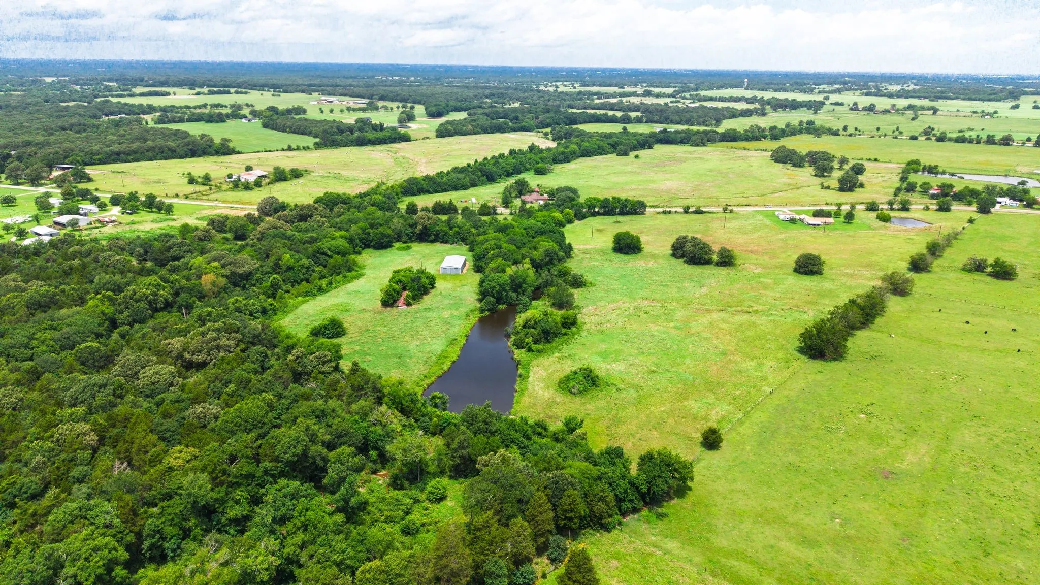 Unimproved Land For Sale in Hopkins County , 0 E Farm Road 1567, Sulphur Springs, Texas 75482, 0, 0, Garage spaces, 0 Sqft, built in 0, mls#21313313, Real Estate Agent in Sulphur Springs, Homes For Sale in Hopkins county, Homes For Sale in Sulphur Springs, Realtor in Sulphur Springs Texas, Real Estate Brokerage Independent Realty Texas, Luminita Cordes Realtor
