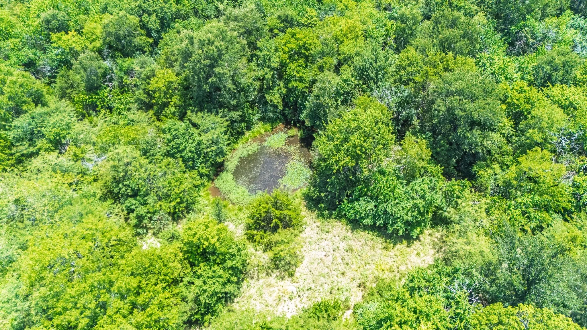 Unimproved Land For Sale in Hunt County , TBD Fm 2649, Lone Oak, Texas 75453, 0, 0, Garage spaces, 0 Sqft, built in 0, mls#21313303, Real Estate Agent in Lone Oak, Homes For Sale in Hunt county, Homes For Sale in Lone Oak, Realtor in Lone Oak Texas, Real Estate Brokerage Independent Realty Texas, Luminita Cordes Realtor
