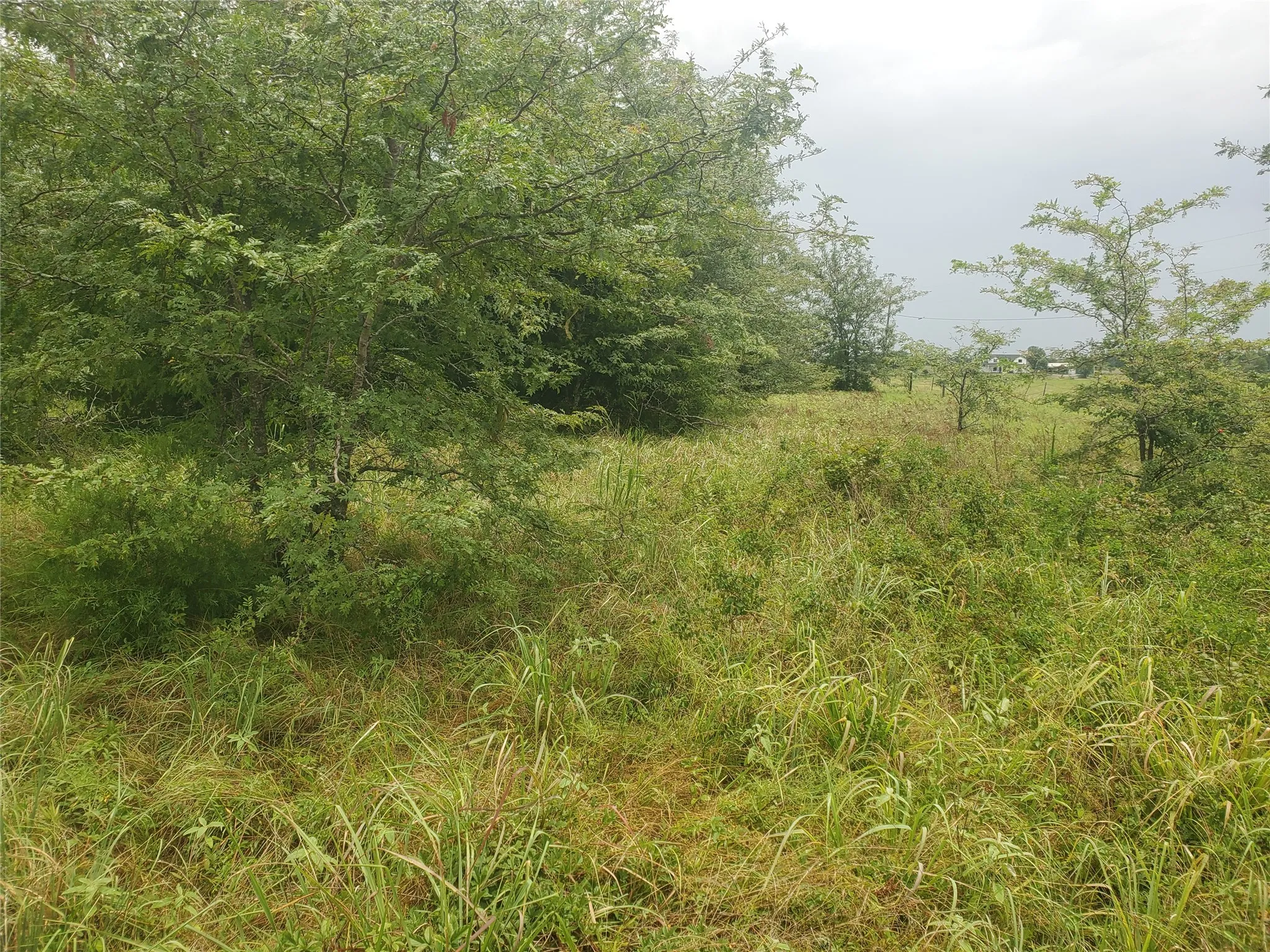 Unimproved Land For Sale in Hunt County , TBD Fm 2649, Lone Oak, Texas 75453, 0, 0, Garage spaces, 0 Sqft, built in 0, mls#21313303, Real Estate Agent in Lone Oak, Homes For Sale in Hunt county, Homes For Sale in Lone Oak, Realtor in Lone Oak Texas, Real Estate Brokerage Independent Realty Texas, Luminita Cordes Realtor