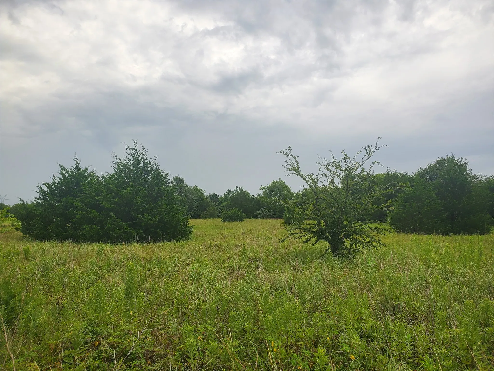 Unimproved Land For Sale in Hunt County , TBD Fm 2649, Lone Oak, Texas 75453, 0, 0, Garage spaces, 0 Sqft, built in 0, mls#21313303, Real Estate Agent in Lone Oak, Homes For Sale in Hunt county, Homes For Sale in Lone Oak, Realtor in Lone Oak Texas, Real Estate Brokerage Independent Realty Texas, Luminita Cordes Realtor