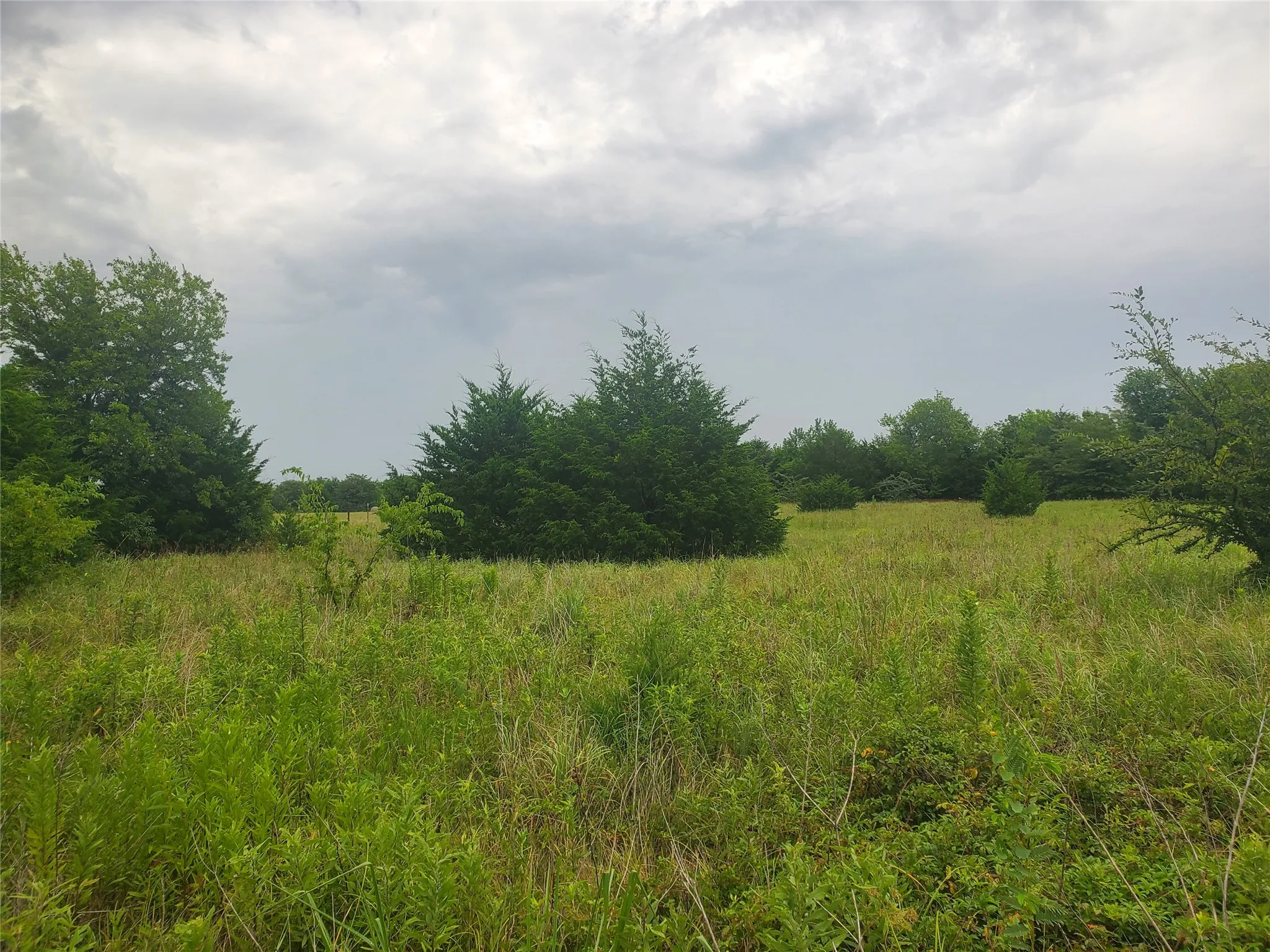Unimproved Land For Sale in Hunt County , TBD Fm 2649, Lone Oak, Texas 75453, 0, 0, Garage spaces, 0 Sqft, built in 0, mls#21313303, Real Estate Agent in Lone Oak, Homes For Sale in Hunt county, Homes For Sale in Lone Oak, Realtor in Lone Oak Texas, Real Estate Brokerage Independent Realty Texas, Luminita Cordes Realtor