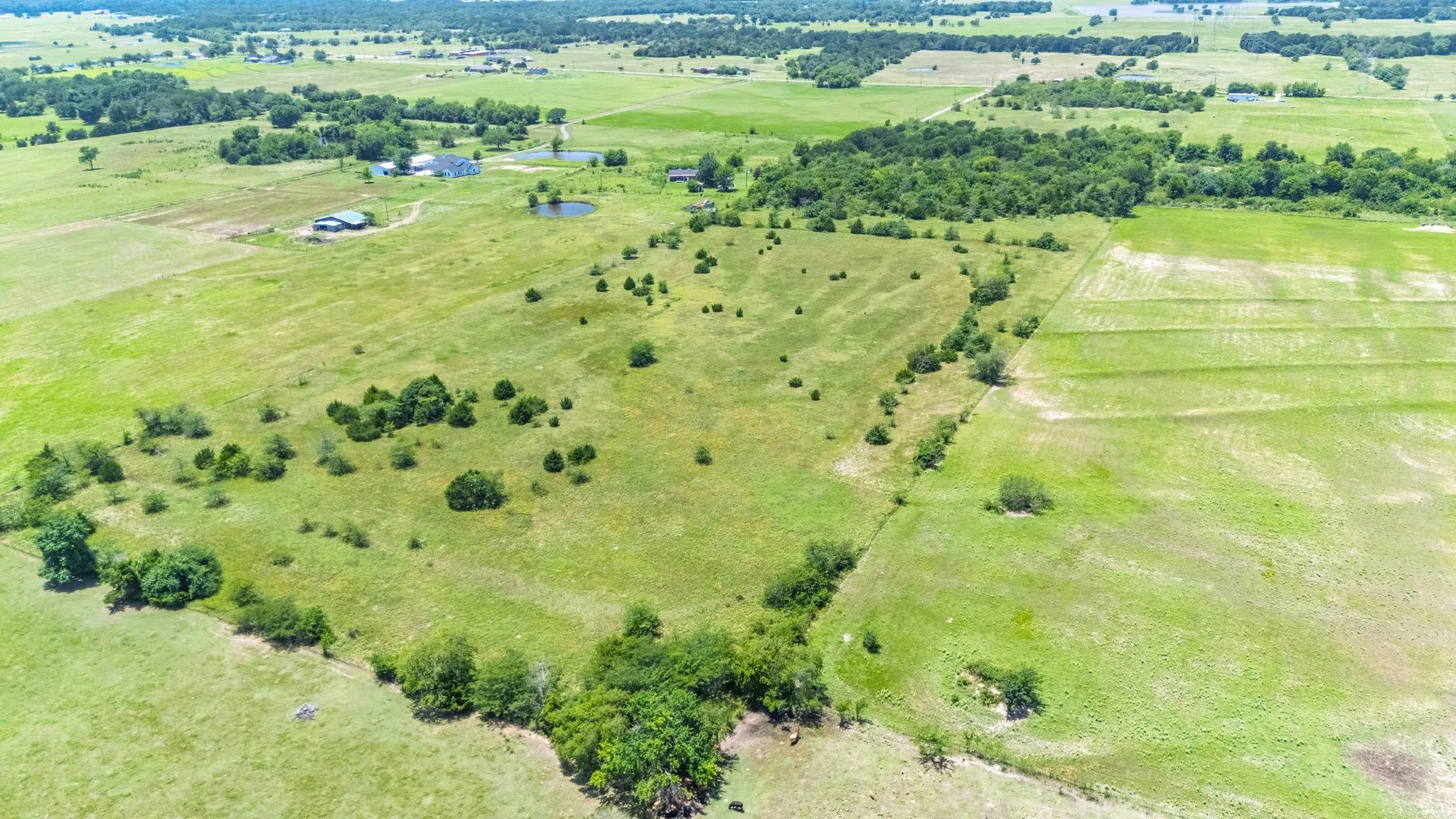 Unimproved Land For Sale in Hunt County , TBD Fm 2649, Lone Oak, Texas 75453, 0, 0, Garage spaces, 0 Sqft, built in 0, mls#21313303, Real Estate Agent in Lone Oak, Homes For Sale in Hunt county, Homes For Sale in Lone Oak, Realtor in Lone Oak Texas, Real Estate Brokerage Independent Realty Texas, Luminita Cordes Realtor