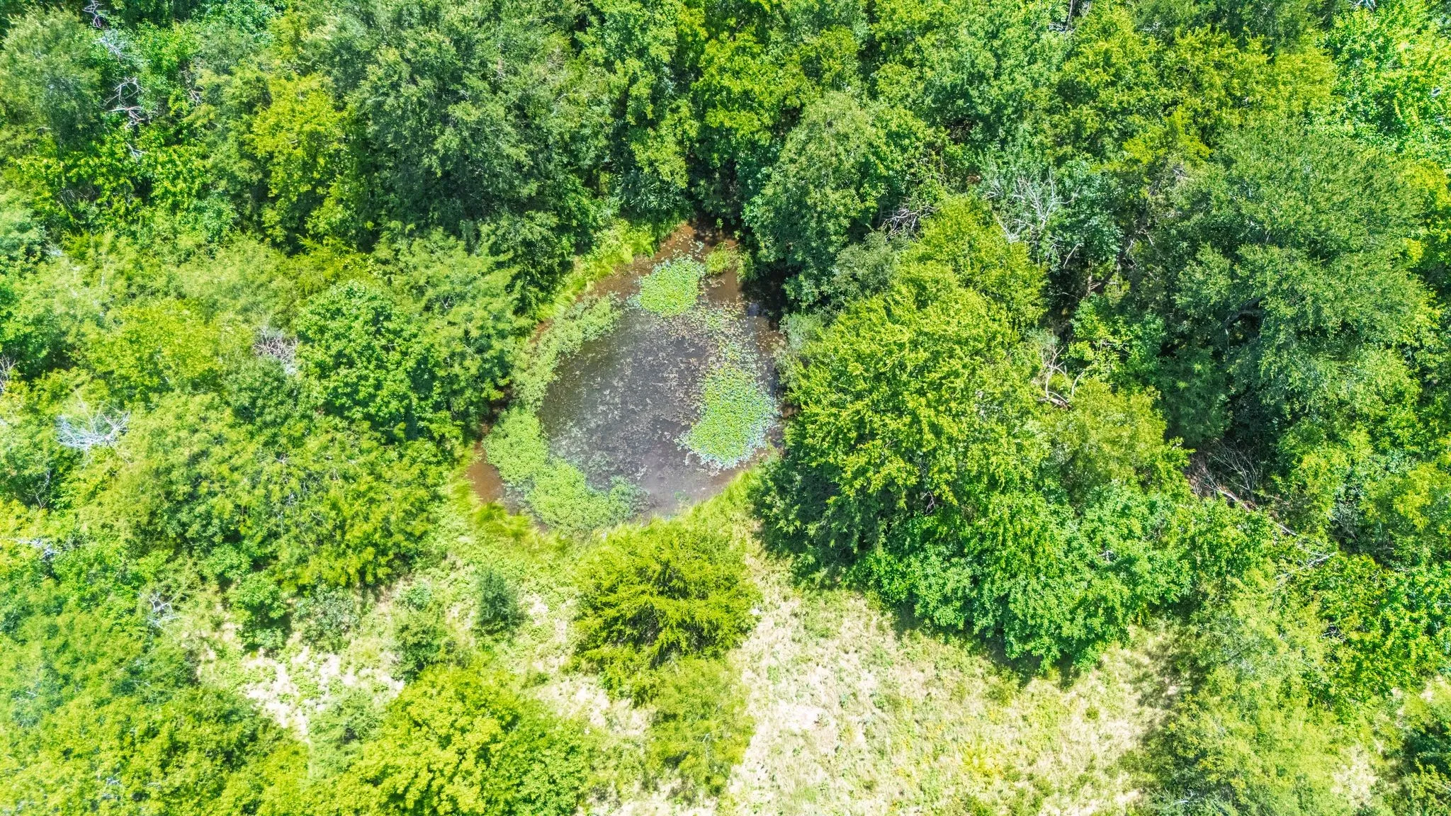 Unimproved Land For Sale in Hunt County , TBD Fm 2649, Lone Oak, Texas 75453, 0, 0, Garage spaces, 0 Sqft, built in 0, mls#21313303, Real Estate Agent in Lone Oak, Homes For Sale in Hunt county, Homes For Sale in Lone Oak, Realtor in Lone Oak Texas, Real Estate Brokerage Independent Realty Texas, Luminita Cordes Realtor