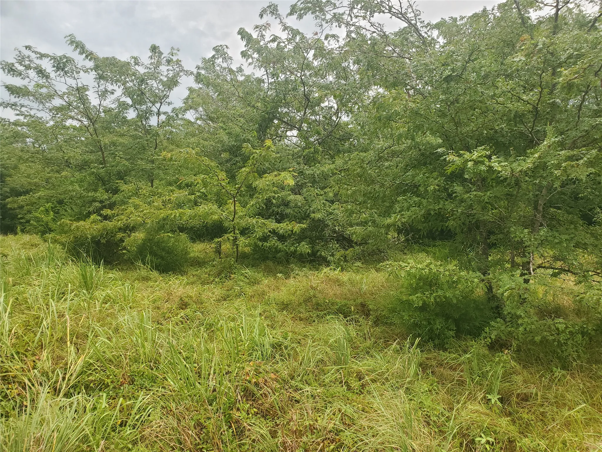 Unimproved Land For Sale in Hunt County , TBD Fm 2649, Lone Oak, Texas 75453, 0, 0, Garage spaces, 0 Sqft, built in 0, mls#21313303, Real Estate Agent in Lone Oak, Homes For Sale in Hunt county, Homes For Sale in Lone Oak, Realtor in Lone Oak Texas, Real Estate Brokerage Independent Realty Texas, Luminita Cordes Realtor