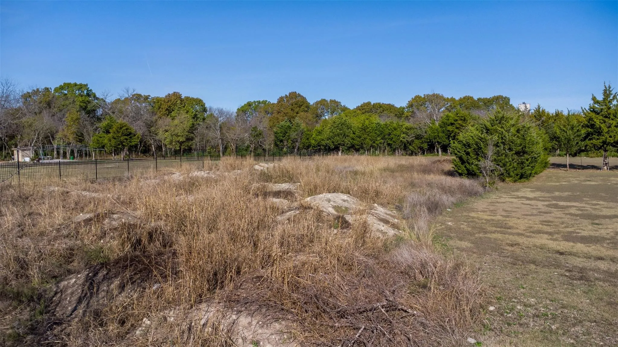 Expansive land parcel featuring a tree-lined perimeter and a clear blue sky