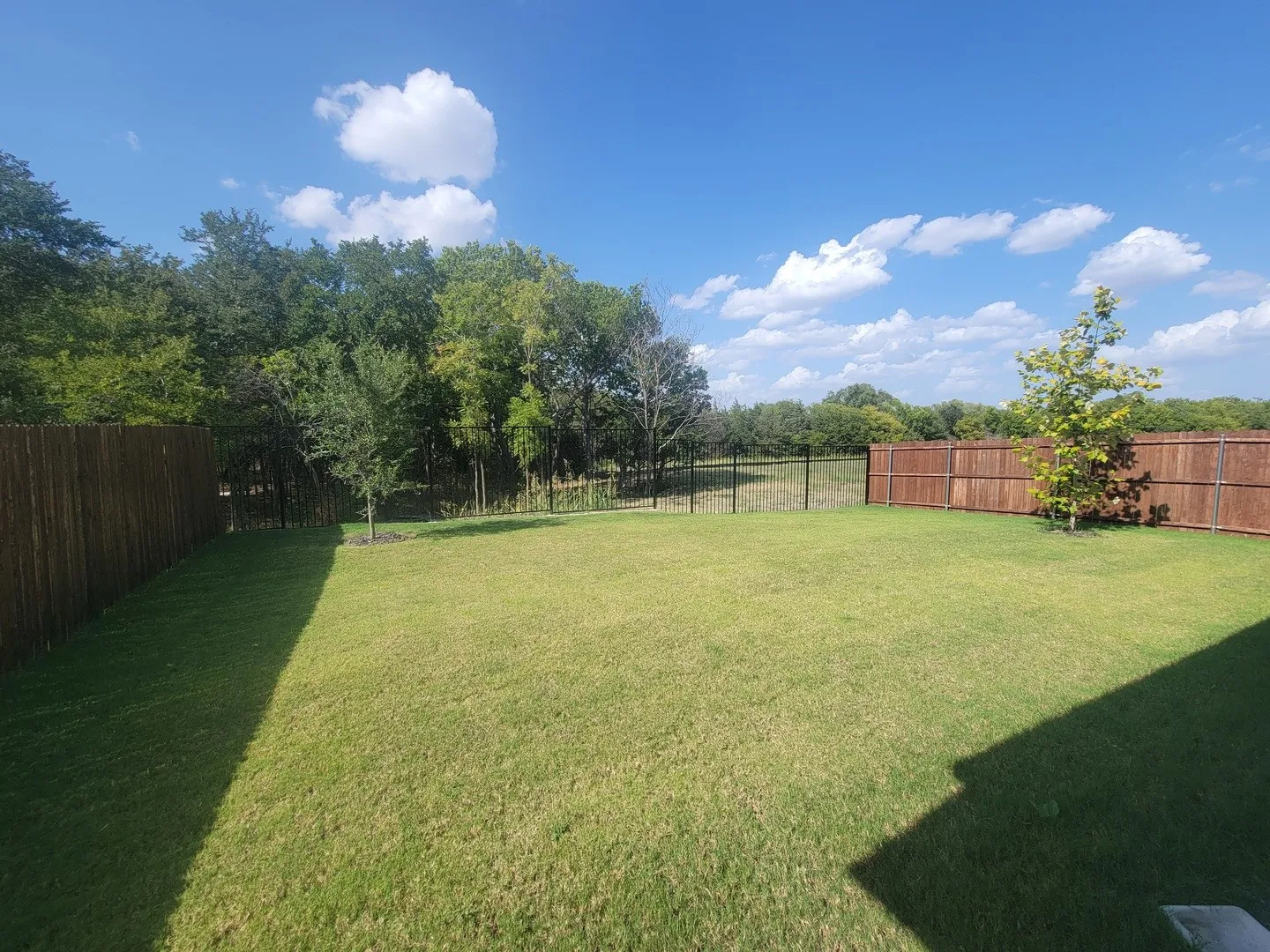 Greenbelt lot!!