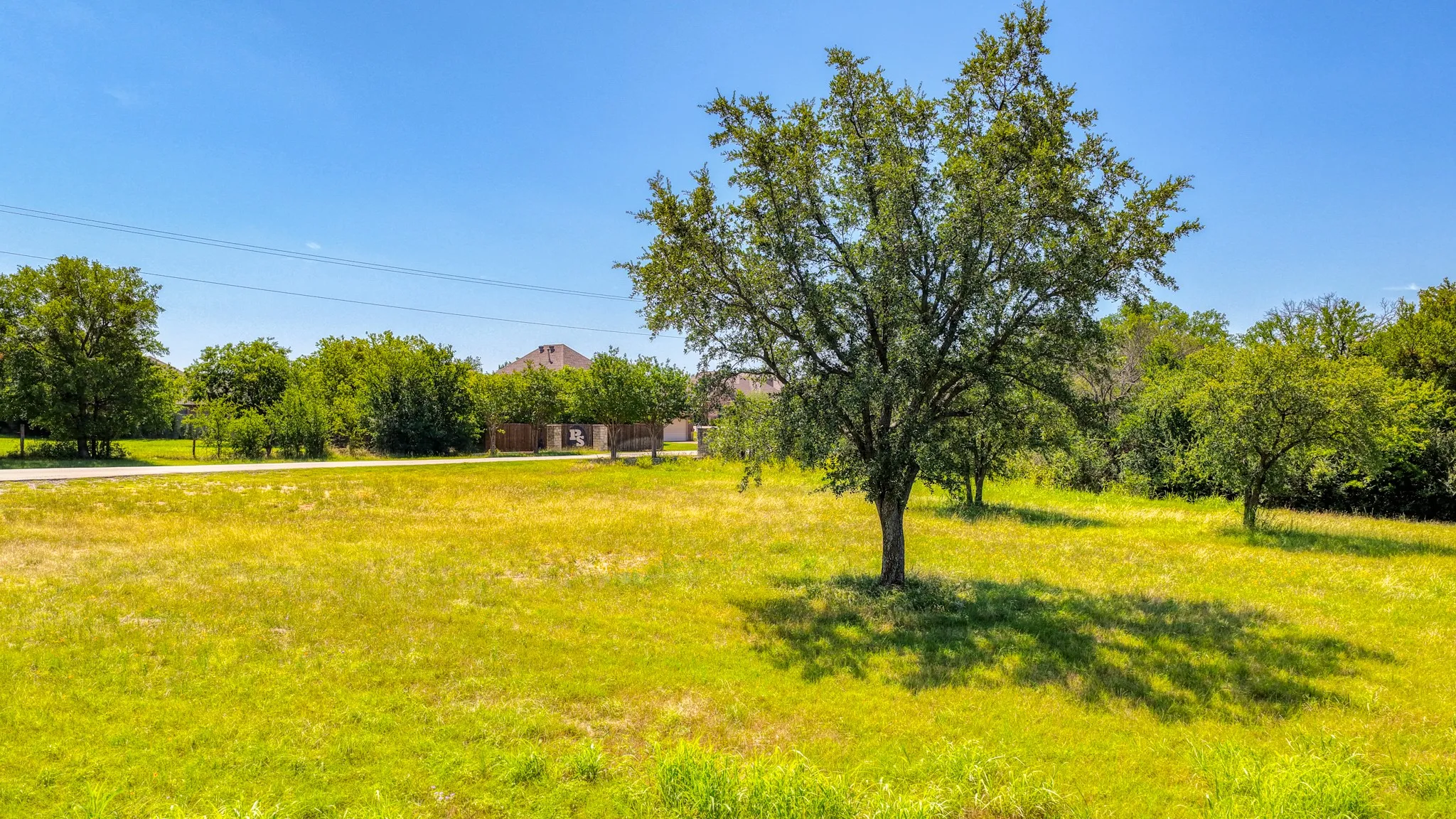 Expansive grassy lot featuring mature trees and a clear blue sky