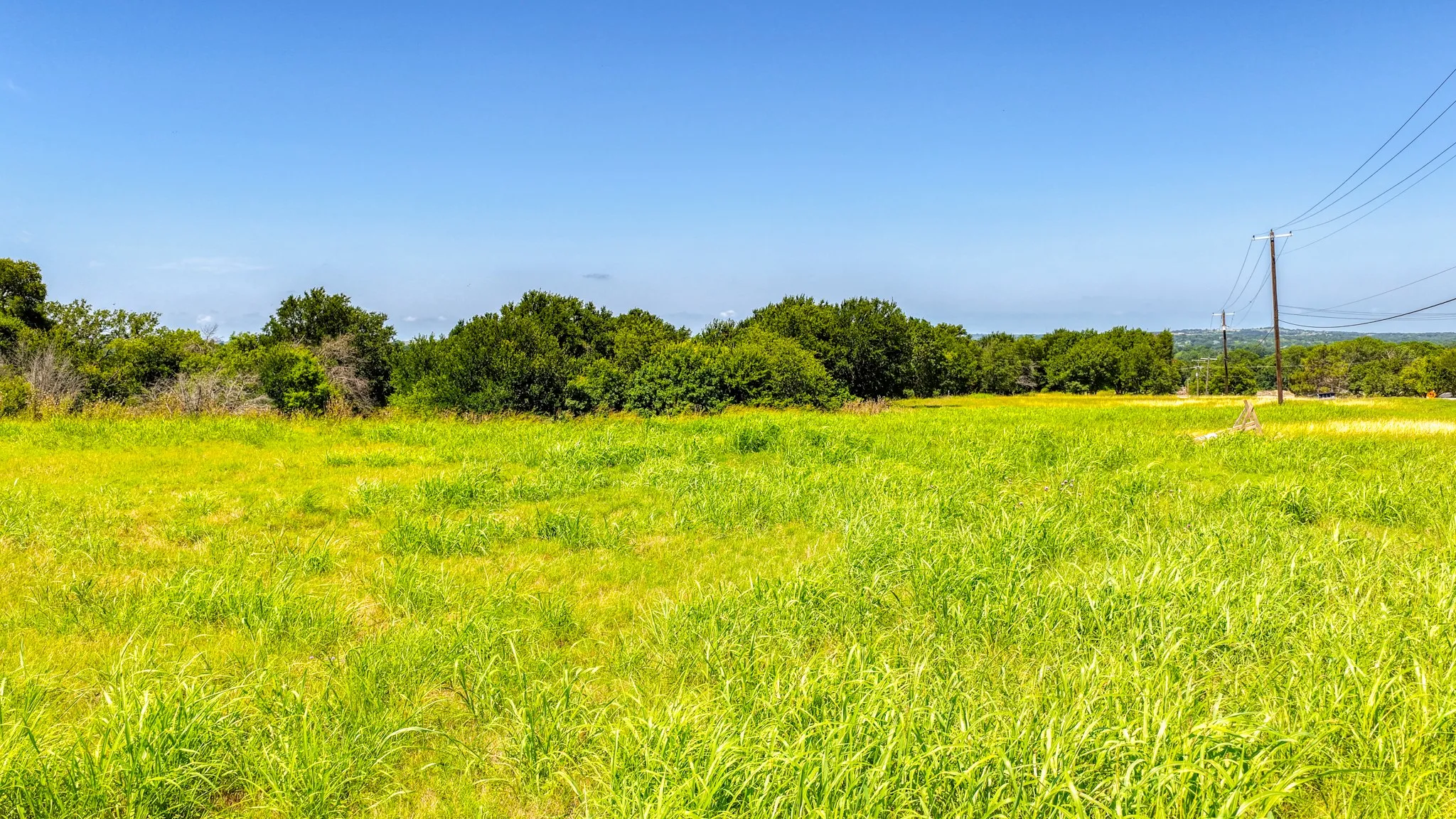 Expansive open field with green ground cover and mature trees along the perimeter