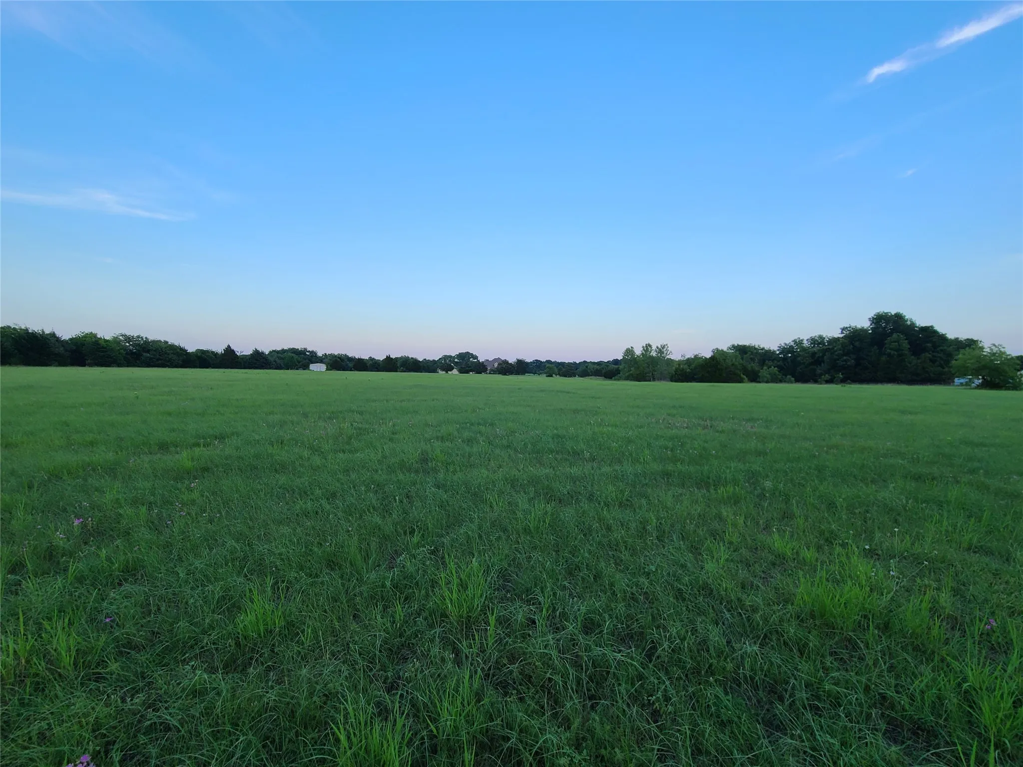 Unimproved Land For Sale in Collin County , Lot 2 CR 561, Princeton, Texas 75407, 0, 0, Garage spaces, 0 Sqft, built in 0, mls#21310324, Real Estate Agent in Princeton, Homes For Sale in Collin county, Homes For Sale in Princeton, Realtor in Princeton Texas, Real Estate Brokerage Independent Realty Texas, Luminita Cordes Realtor
