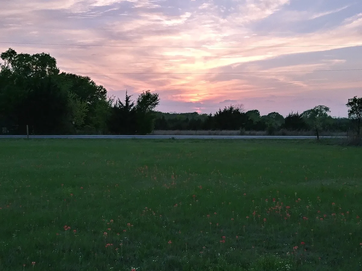 Unimproved Land For Sale in Collin County , Lot 2 CR 561, Princeton, Texas 75407, 0, 0, Garage spaces, 0 Sqft, built in 0, mls#21310324, Real Estate Agent in Princeton, Homes For Sale in Collin county, Homes For Sale in Princeton, Realtor in Princeton Texas, Real Estate Brokerage Independent Realty Texas, Luminita Cordes Realtor