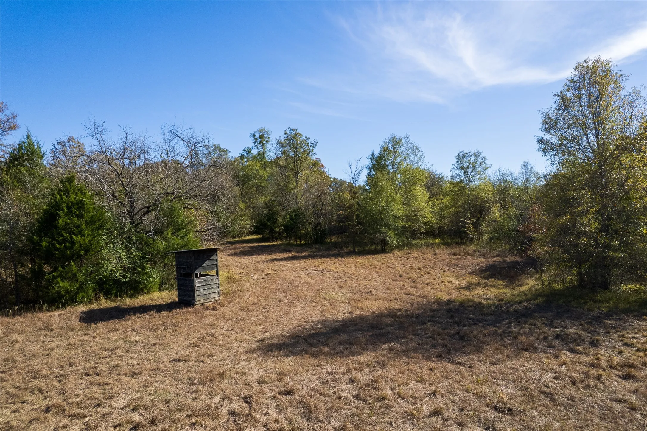 Unimproved Land For Sale in Titus County , TBD FM 71, Talco, Texas 75487, 0, 0, Garage spaces, 0 Sqft, built in 0, Price $329,000, mls#21313437, Real Estate Agent in Talco, Homes For Sale in Titus county, Homes For Sale in Talco, Realtor in Talco Texas, Real Estate Brokerage Independent Realty Texas, Luminita Cordes Realtor