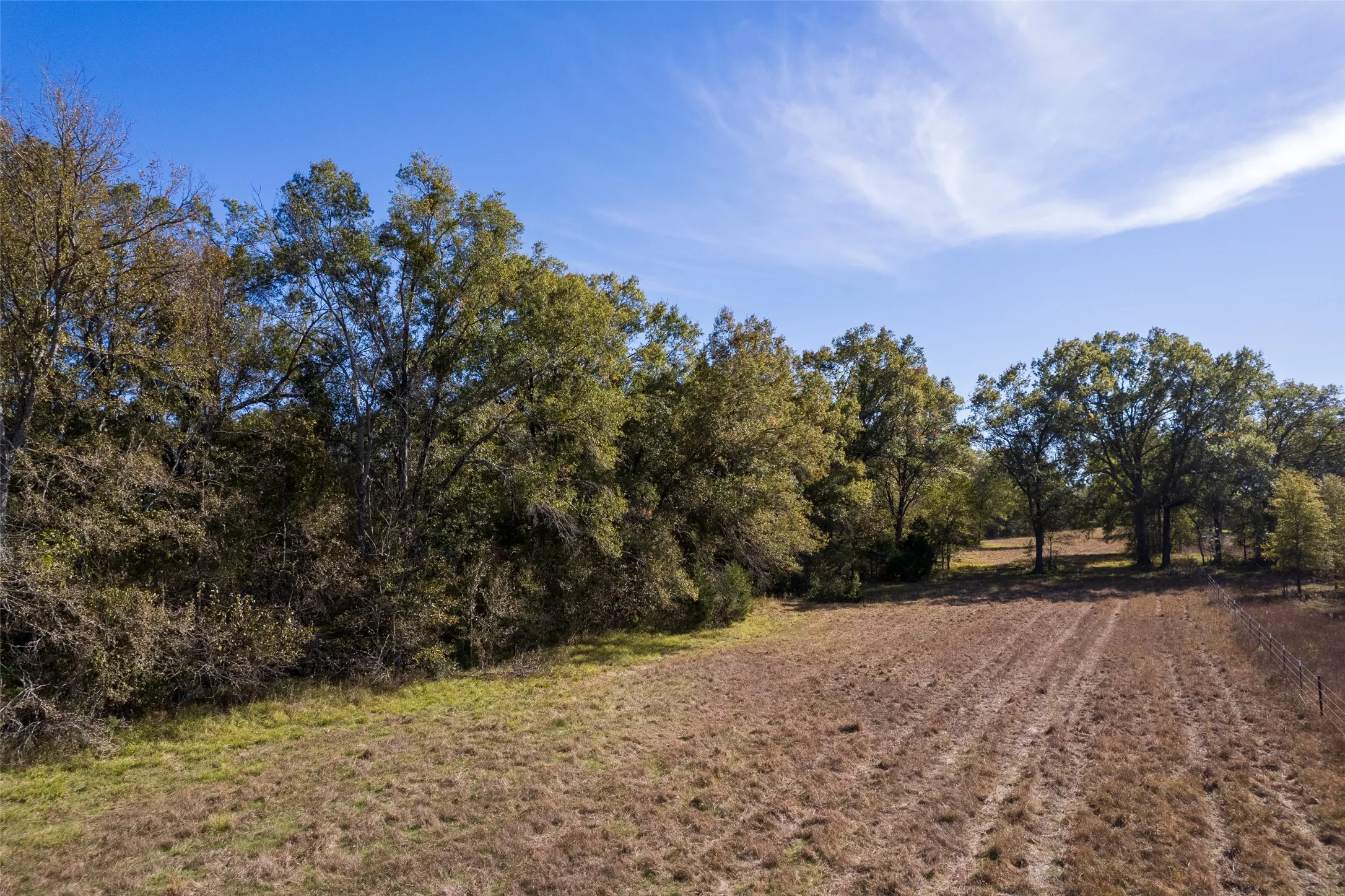Unimproved Land For Sale in Titus County , TBD FM 71, Talco, Texas 75487, 0, 0, Garage spaces, 0 Sqft, built in 0, Price $329,000, mls#21313437, Real Estate Agent in Talco, Homes For Sale in Titus county, Homes For Sale in Talco, Realtor in Talco Texas, Real Estate Brokerage Independent Realty Texas, Luminita Cordes Realtor