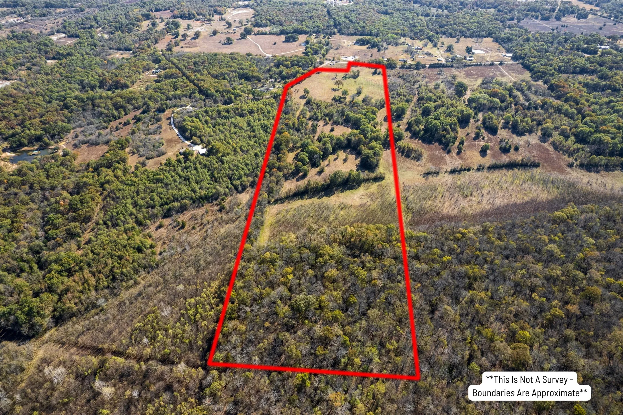 Unimproved Land For Sale in Titus County , TBD FM 71, Talco, Texas 75487, 0, 0, Garage spaces, 0 Sqft, built in 0, Price $329,000, mls#21313437, Real Estate Agent in Talco, Homes For Sale in Titus county, Homes For Sale in Talco, Realtor in Talco Texas, Real Estate Brokerage Independent Realty Texas, Luminita Cordes Realtor