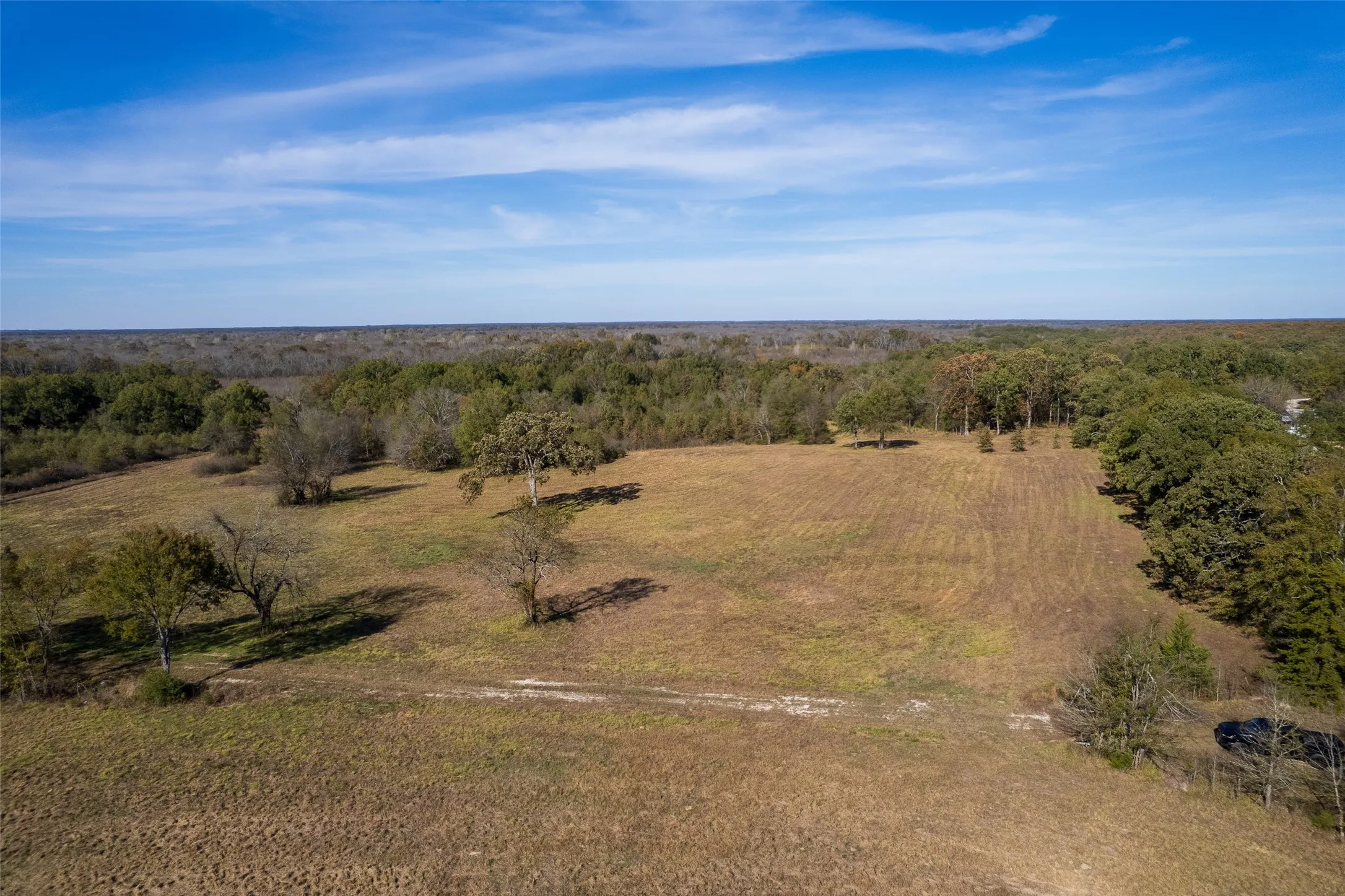 Unimproved Land For Sale in Titus County , TBD FM 71, Talco, Texas 75487, 0, 0, Garage spaces, 0 Sqft, built in 0, Price $329,000, mls#21313437, Real Estate Agent in Talco, Homes For Sale in Titus county, Homes For Sale in Talco, Realtor in Talco Texas, Real Estate Brokerage Independent Realty Texas, Luminita Cordes Realtor