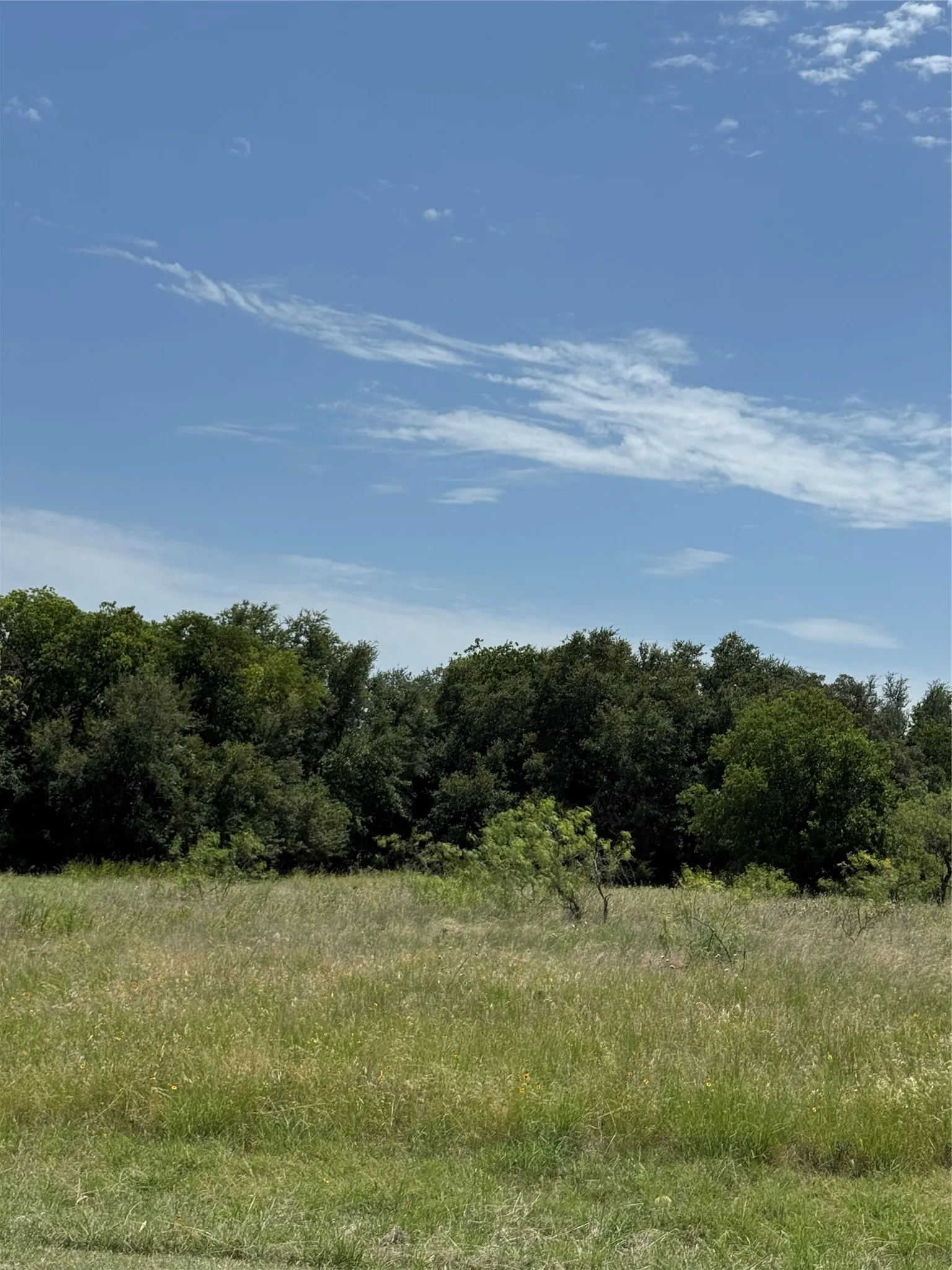 Unimproved Land For Sale in Hill County , 1116 Lakeside Trail, Whitney, Texas 76692, 0, 0, Garage spaces, 0 Sqft, built in 0, Price $20,000, mls#21313467, Real Estate Agent in Whitney, Homes For Sale in Hill county, Homes For Sale in Whitney, Realtor in Whitney Texas, Real Estate Brokerage Independent Realty Texas, Luminita Cordes Realtor