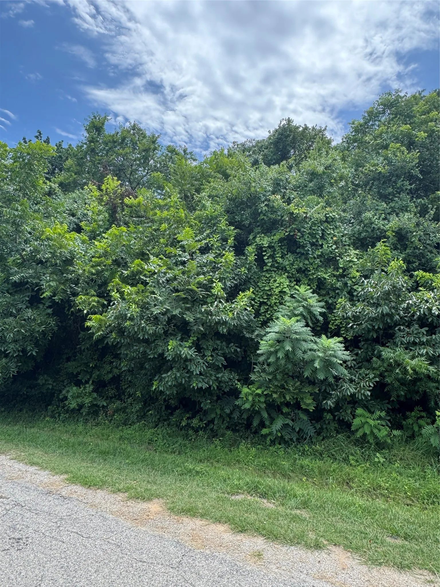 Unimproved Land For Sale in Hill County , 12207 Rolling Oaks Drive, Whitney, Texas 76692, 0, 0, Garage spaces, 0 Sqft, built in 0, Price $20,000, mls#21313504, Real Estate Agent in Whitney, Homes For Sale in Hill county, Homes For Sale in Whitney, Realtor in Whitney Texas, Real Estate Brokerage Independent Realty Texas, Luminita Cordes Realtor