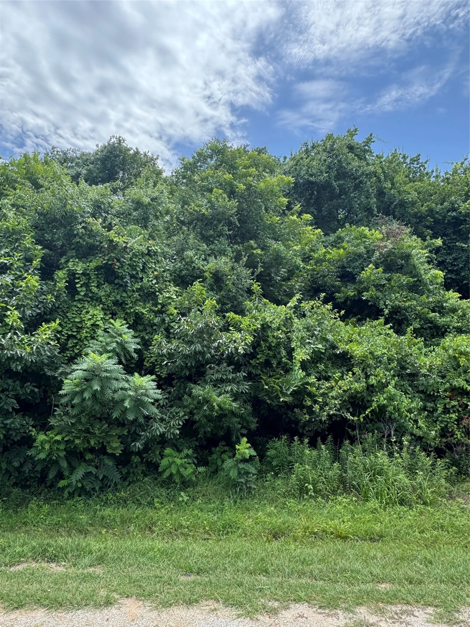 Unimproved Land For Sale in Hill County , 12207 Rolling Oaks Drive, Whitney, Texas 76692, 0, 0, Garage spaces, 0 Sqft, built in 0, Price $20,000, mls#21313504, Real Estate Agent in Whitney, Homes For Sale in Hill county, Homes For Sale in Whitney, Realtor in Whitney Texas, Real Estate Brokerage Independent Realty Texas, Luminita Cordes Realtor