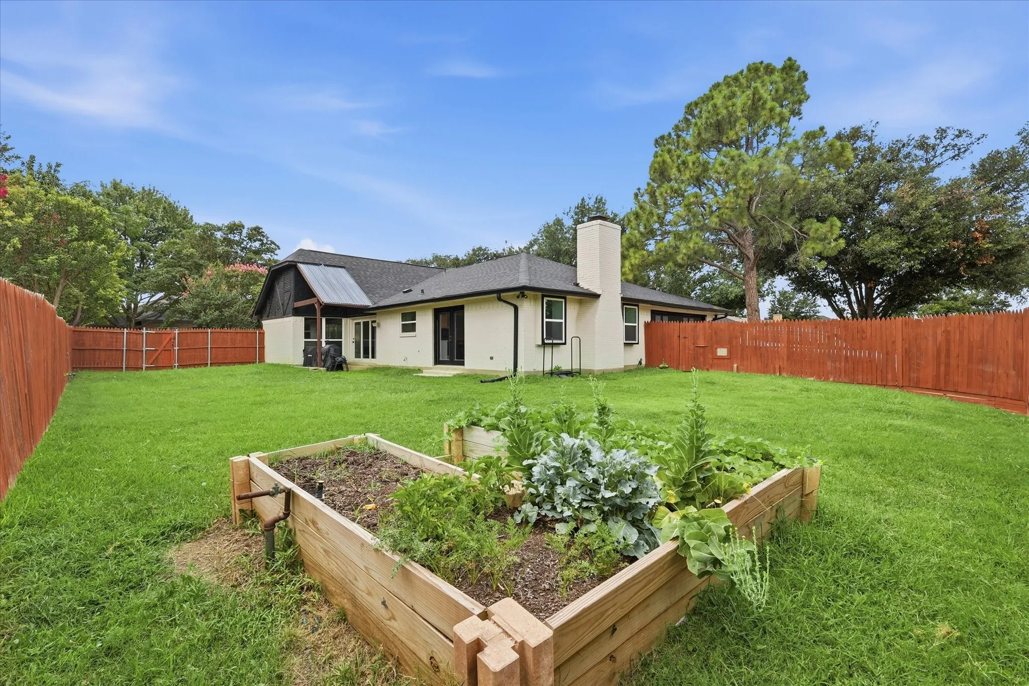 Expansive backyard featuring a manicured lawn, full privacy fencing, and raised garden beds
