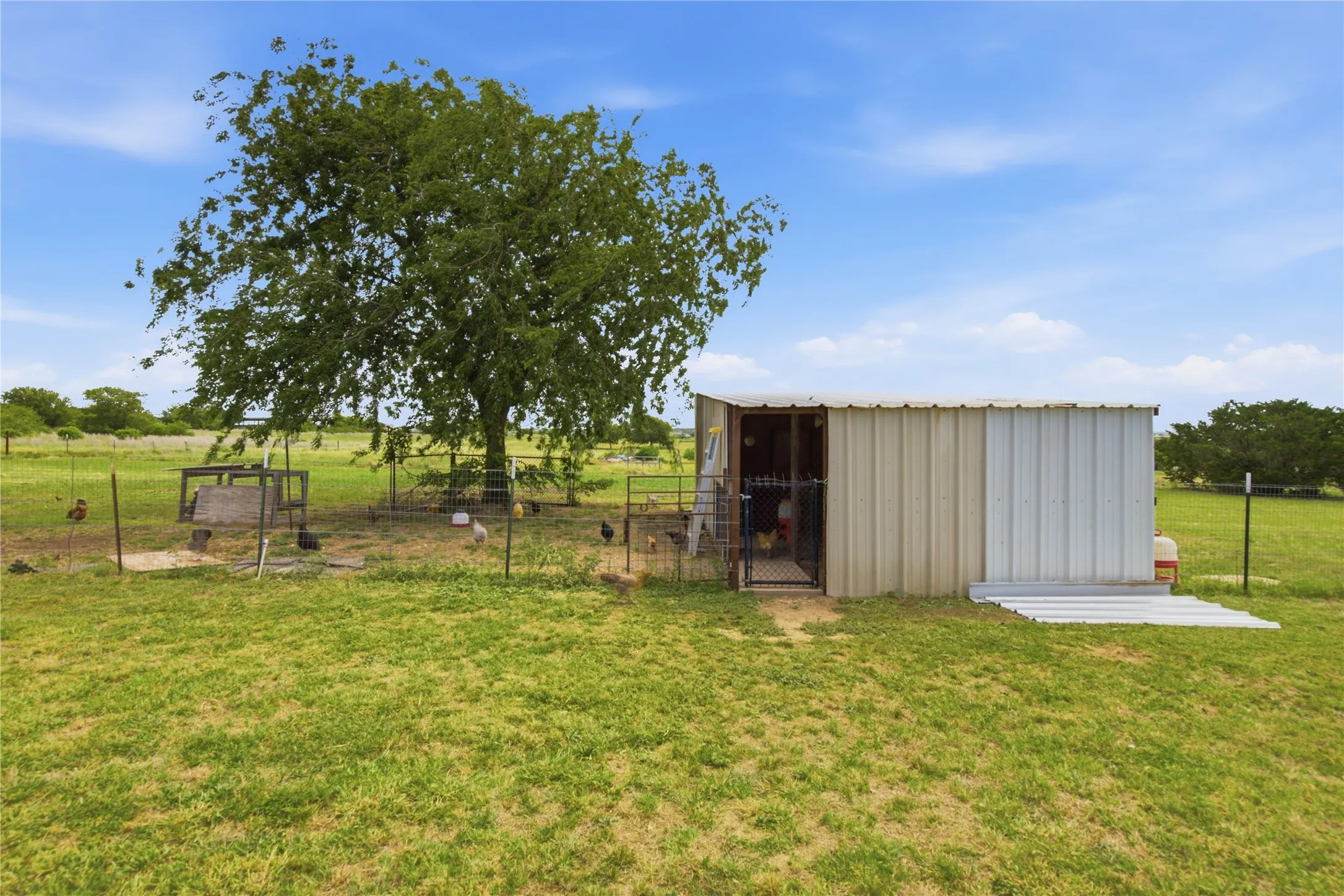 Chicken Coop