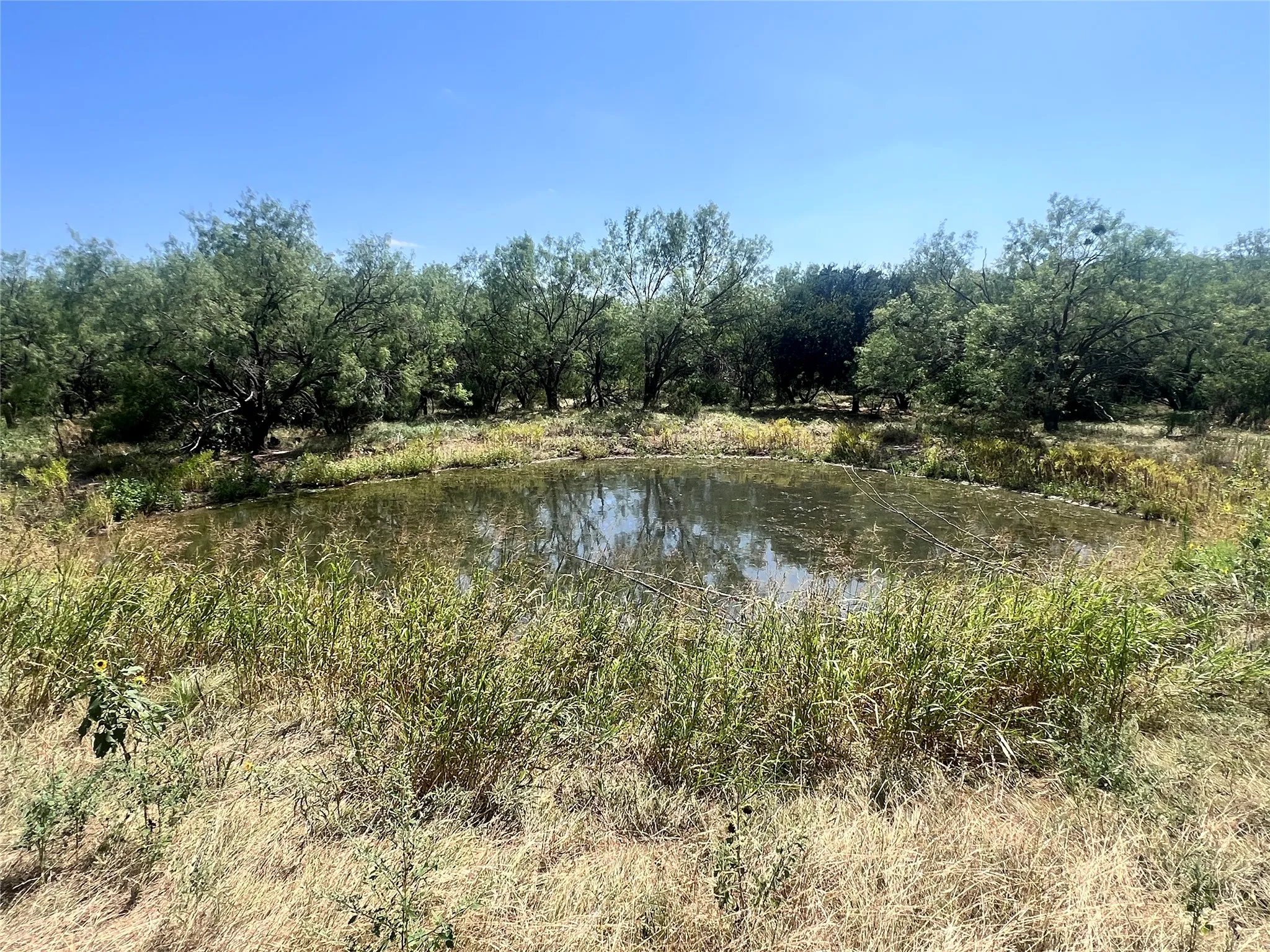 Unimproved Land For Sale in Young County , TBD HWY 67 Road, Graham, Texas 76450, 0, 0, Garage spaces, 0 Sqft, built in 0, Price $484,110, mls#21313525, Real Estate Agent in Graham, Homes For Sale in Young county, Homes For Sale in Graham, Realtor in Graham Texas, Real Estate Brokerage Independent Realty Texas, Luminita Cordes Realtor