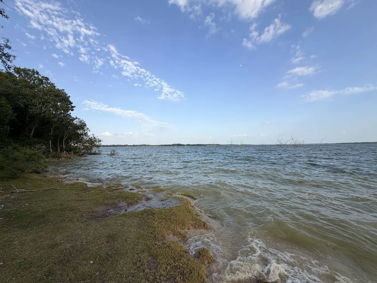 Unimproved Land For Sale in Collin County , 0000 County Road 890, Lucas, Texas 75002, 0, 0, Garage spaces, 0 Sqft, built in 0, mls#21306774, Real Estate Agent in Lucas, Homes For Sale in Collin county, Homes For Sale in Lucas, Realtor in Lucas Texas, Real Estate Brokerage Independent Realty Texas, Luminita Cordes Realtor