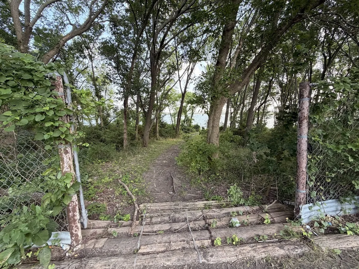 Unimproved Land For Sale in Collin County , 0000 County Road 890, Lucas, Texas 75002, 0, 0, Garage spaces, 0 Sqft, built in 0, mls#21306774, Real Estate Agent in Lucas, Homes For Sale in Collin county, Homes For Sale in Lucas, Realtor in Lucas Texas, Real Estate Brokerage Independent Realty Texas, Luminita Cordes Realtor