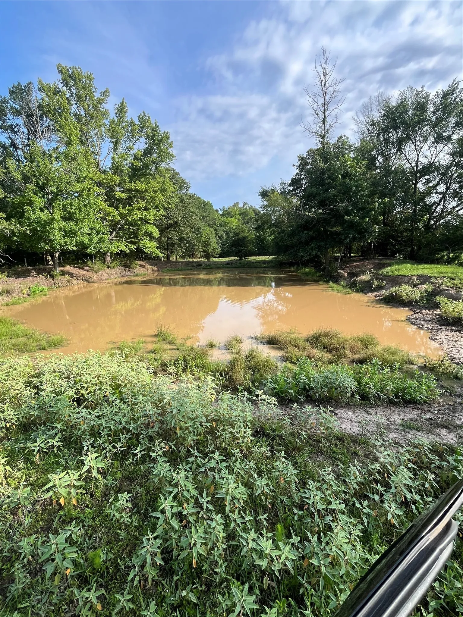 Unimproved Land For Sale in Titus County , TBD CR 4260, Mt Pleasant, Texas 75455, 0, 0, Garage spaces, 0 Sqft, built in 1965, mls#21313584, Real Estate Agent in Mt Pleasant, Homes For Sale in Titus county, Homes For Sale in Mt Pleasant, Realtor in Mt Pleasant Texas, Real Estate Brokerage Independent Realty Texas, Luminita Cordes Realtor