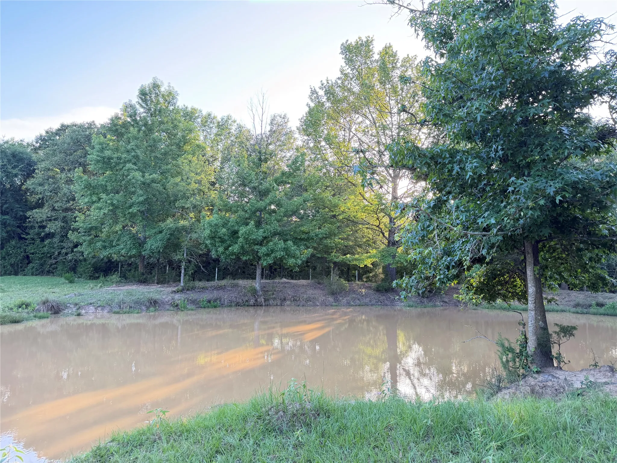 Unimproved Land For Sale in Titus County , TBD CR 4260, Mt Pleasant, Texas 75455, 0, 0, Garage spaces, 0 Sqft, built in 1965, mls#21313584, Real Estate Agent in Mt Pleasant, Homes For Sale in Titus county, Homes For Sale in Mt Pleasant, Realtor in Mt Pleasant Texas, Real Estate Brokerage Independent Realty Texas, Luminita Cordes Realtor
