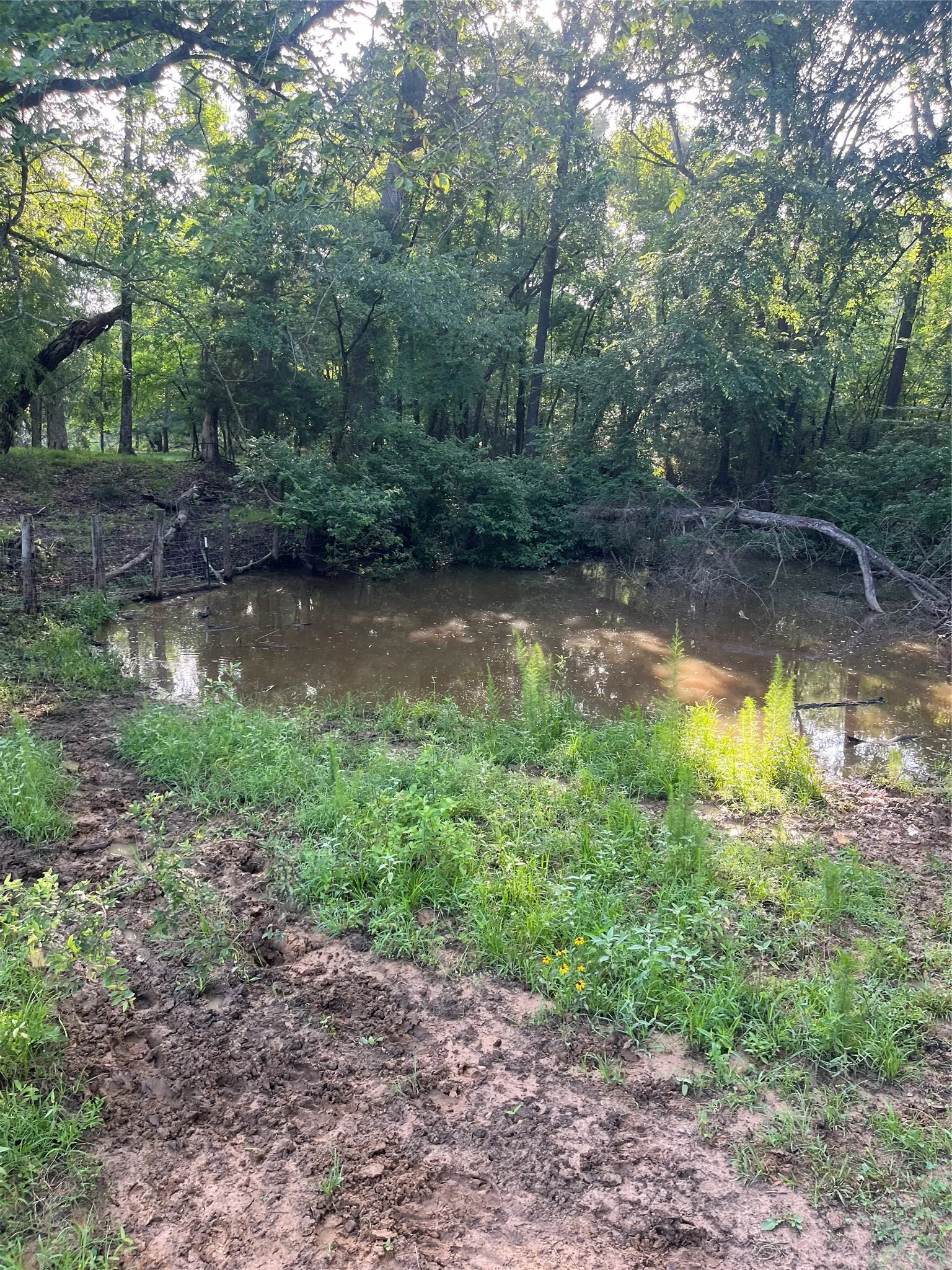 Unimproved Land For Sale in Titus County , TBD CR 4260, Mt Pleasant, Texas 75455, 0, 0, Garage spaces, 0 Sqft, built in 1965, mls#21313584, Real Estate Agent in Mt Pleasant, Homes For Sale in Titus county, Homes For Sale in Mt Pleasant, Realtor in Mt Pleasant Texas, Real Estate Brokerage Independent Realty Texas, Luminita Cordes Realtor