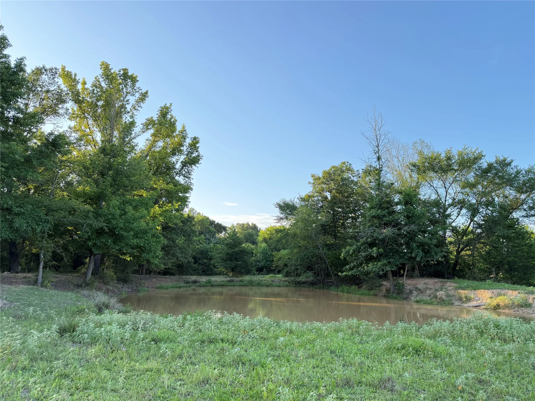 Unimproved Land For Sale in Titus County , TBD CR 4260, Mt Pleasant, Texas 75455, 0, 0, Garage spaces, 0 Sqft, built in 1965, mls#21313584, Real Estate Agent in Mt Pleasant, Homes For Sale in Titus county, Homes For Sale in Mt Pleasant, Realtor in Mt Pleasant Texas, Real Estate Brokerage Independent Realty Texas, Luminita Cordes Realtor