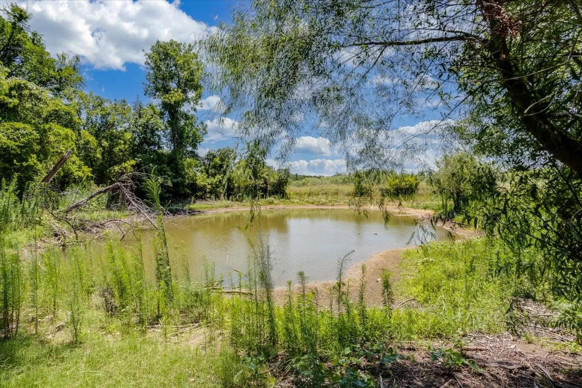 Natural pond surrounded by mature trees and lush vegetation
