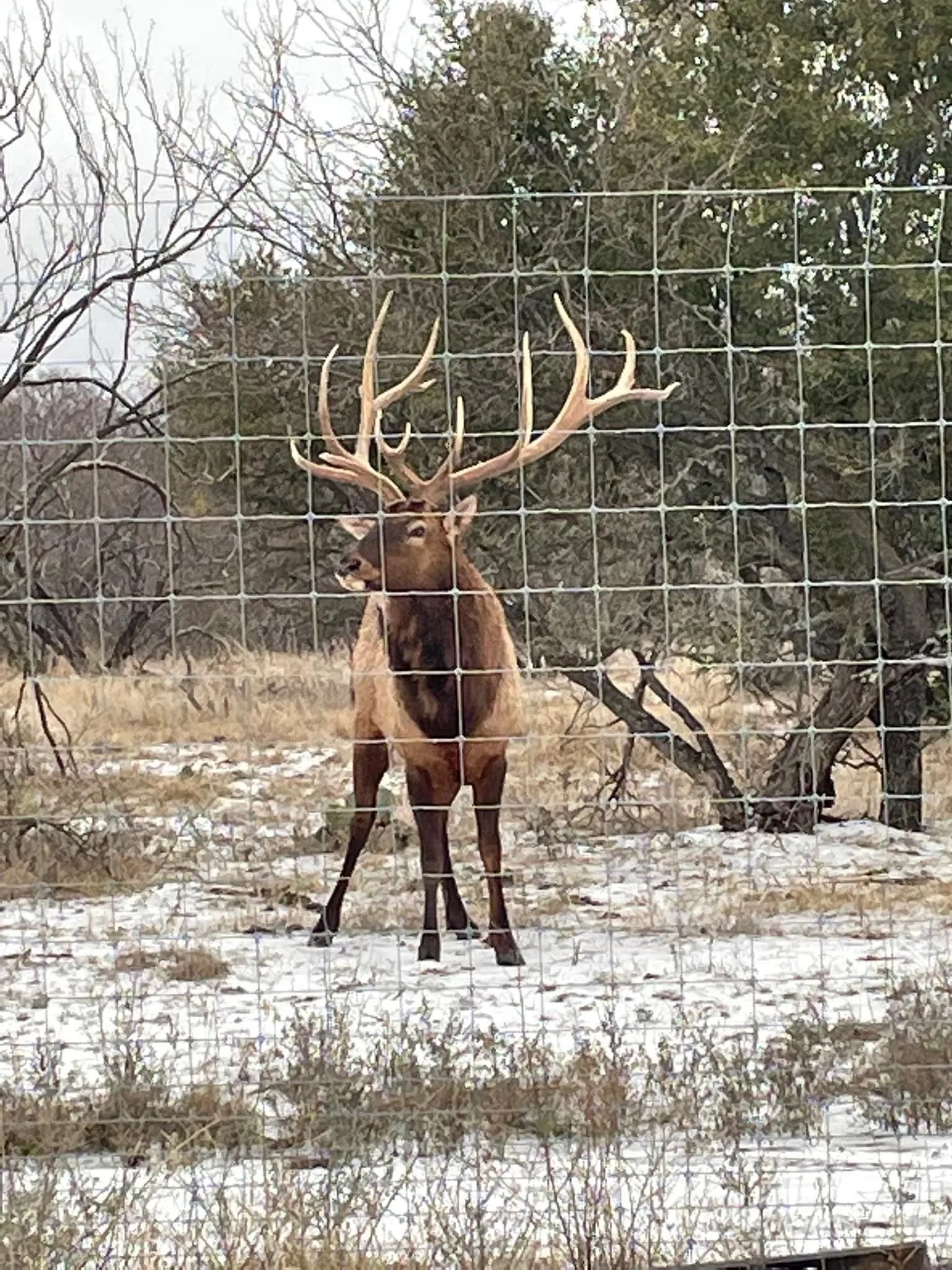 Farm For Sale in Comanche County , 2046 County Rd 103, Comanche, Texas 76442, 3 Bedroom, 2 Bathroom, Garage spaces, 1,475 Sqft, built in 2024, mls#21313630, Real Estate Agent in Comanche, Homes For Sale in Comanche county, Homes For Sale in Comanche, Realtor in Comanche Texas, Real Estate Brokerage Independent Realty Texas, Luminita Cordes Realtor