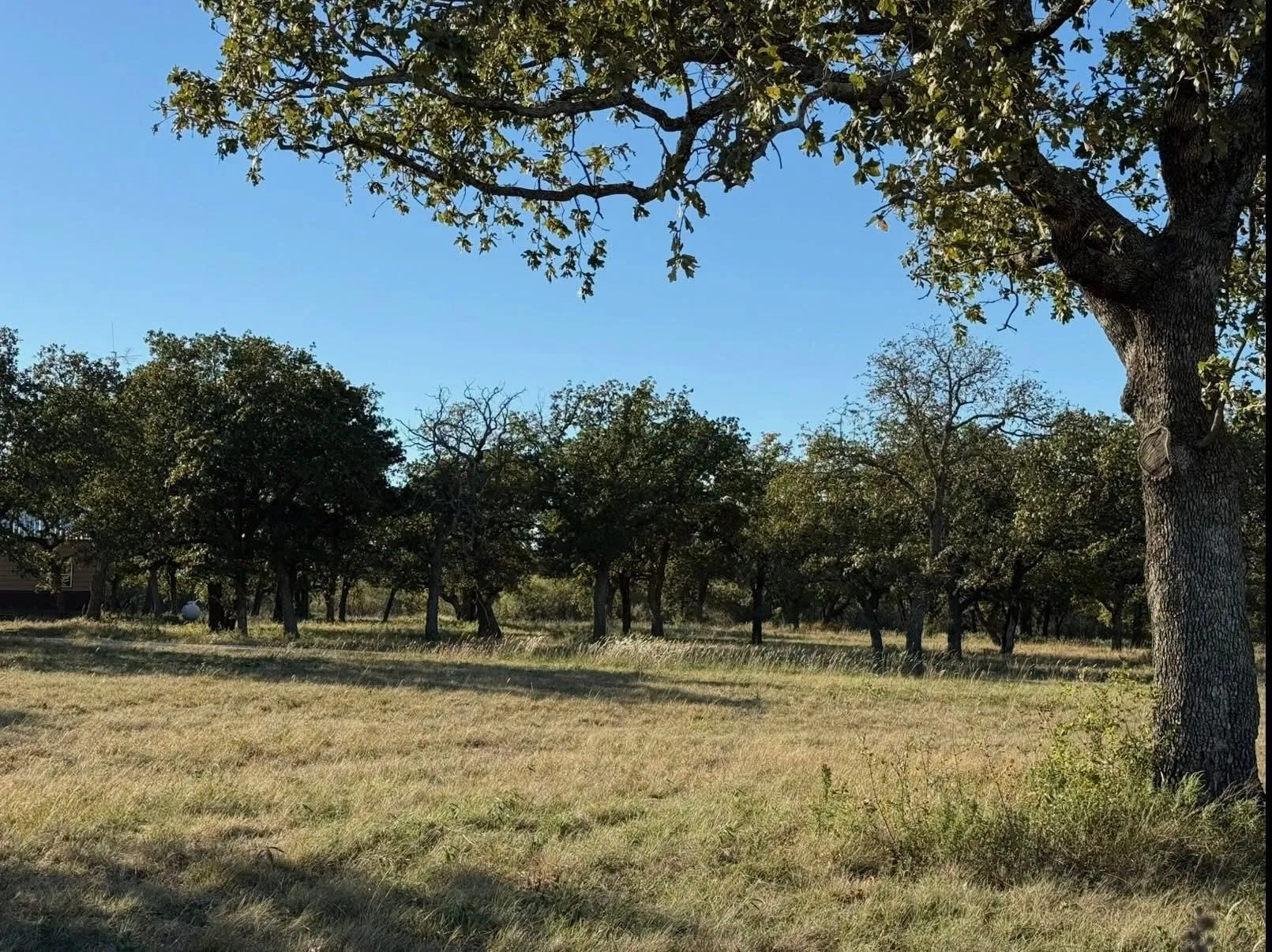 Farm For Sale in Comanche County , 2046 County Rd 103, Comanche, Texas 76442, 3 Bedroom, 2 Bathroom, Garage spaces, 1,475 Sqft, built in 2024, mls#21313630, Real Estate Agent in Comanche, Homes For Sale in Comanche county, Homes For Sale in Comanche, Realtor in Comanche Texas, Real Estate Brokerage Independent Realty Texas, Luminita Cordes Realtor