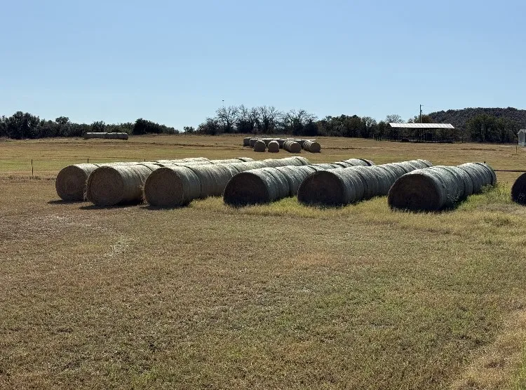 Farm For Sale in Comanche County , 2046 County Rd 103, Comanche, Texas 76442, 3 Bedroom, 2 Bathroom, Garage spaces, 1,475 Sqft, built in 2024, mls#21313630, Real Estate Agent in Comanche, Homes For Sale in Comanche county, Homes For Sale in Comanche, Realtor in Comanche Texas, Real Estate Brokerage Independent Realty Texas, Luminita Cordes Realtor