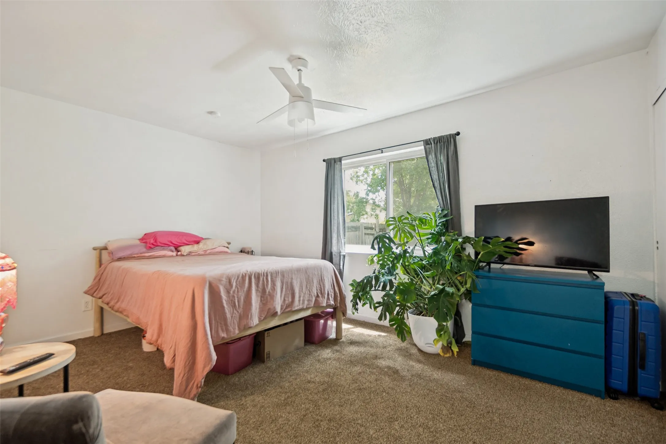 Carpeted room featuring a ceiling fan, a window with dark curtains, and white walls