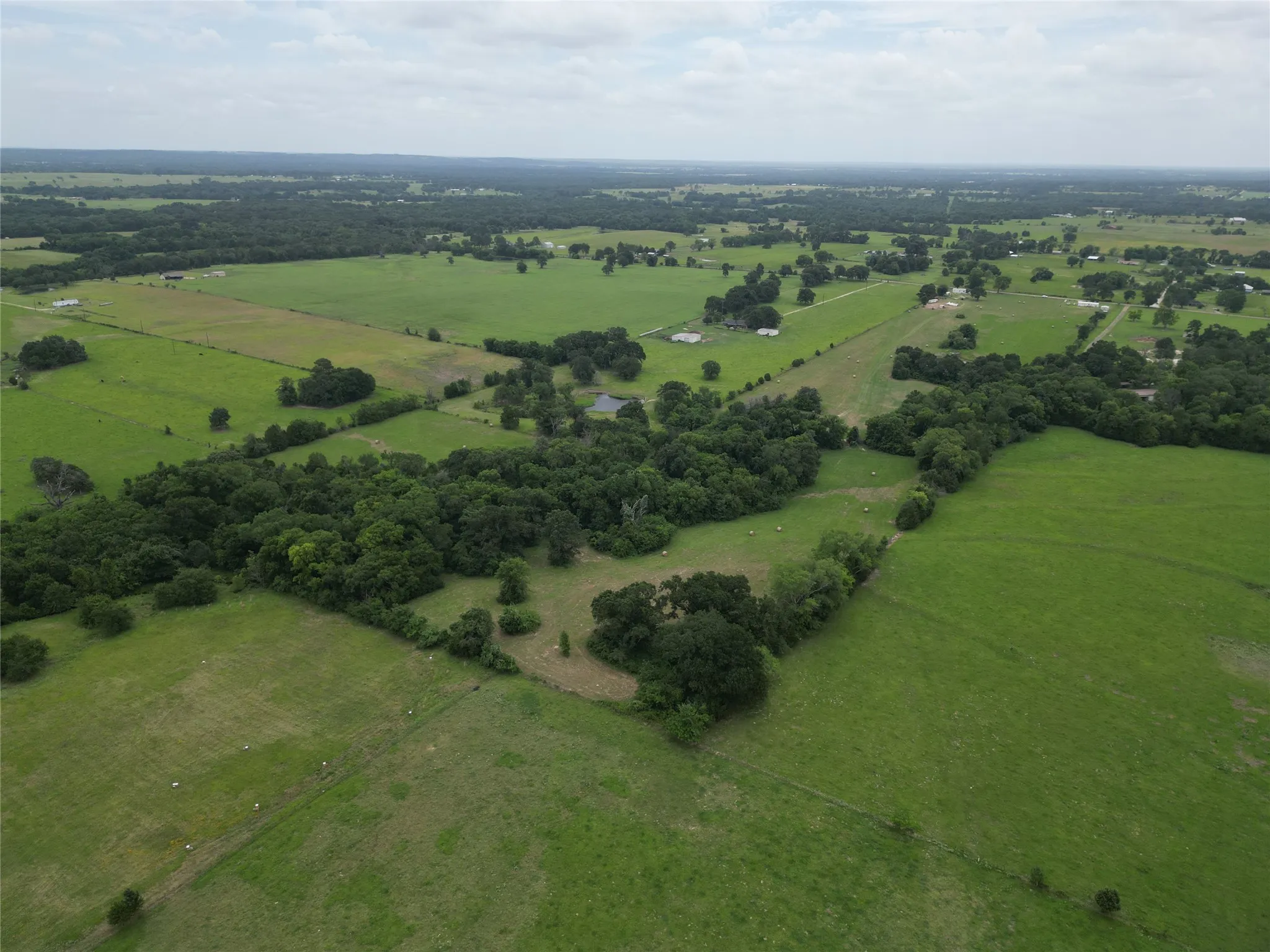 Expansive rural landscape featuring extensive green pastures and mature tree lines