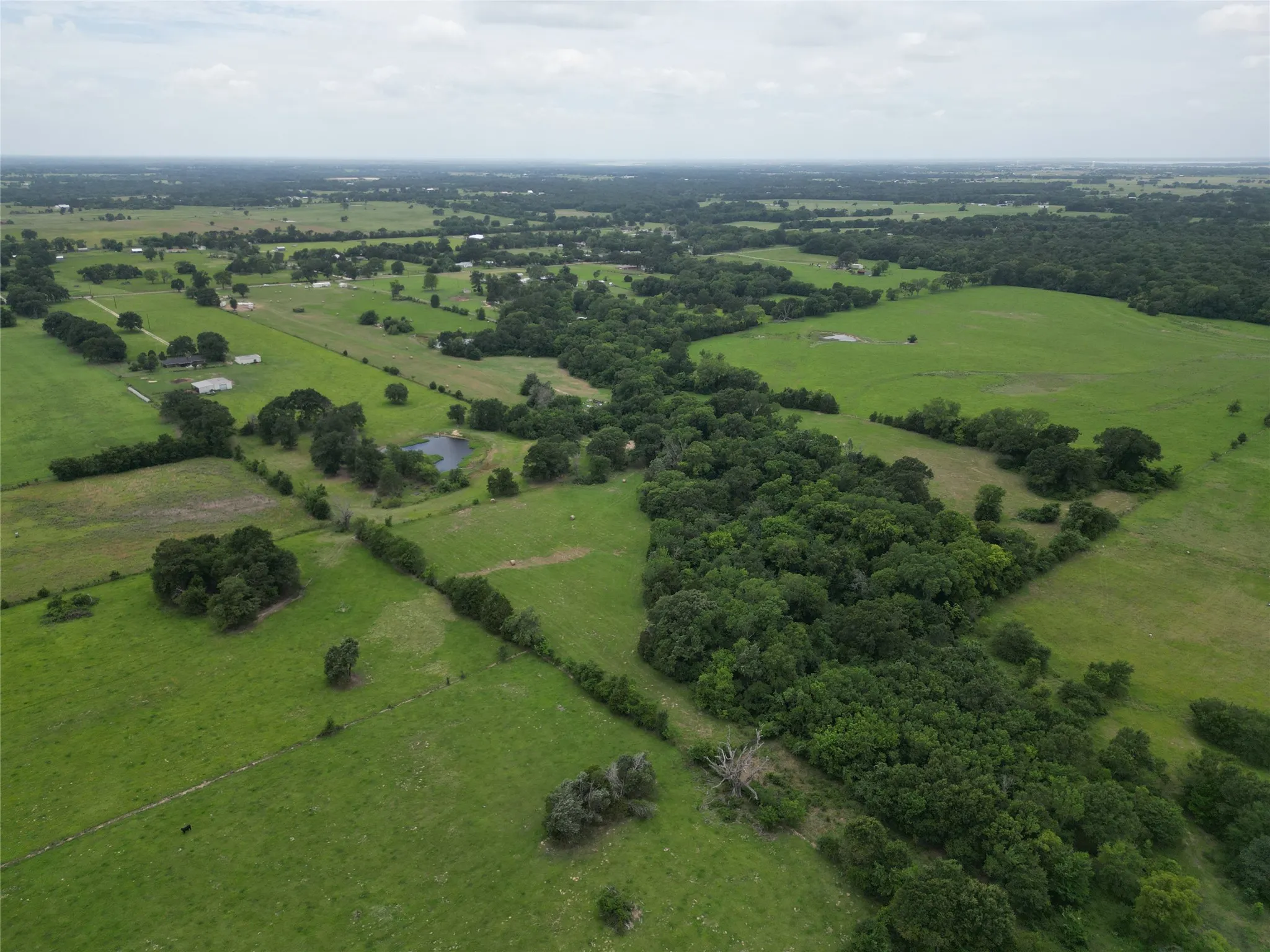 Expansive rural acreage featuring diverse green pastures and mature tree lines